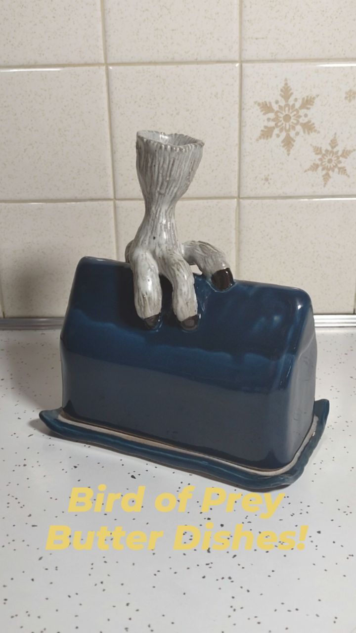 Bird of Prey butter dishes include the snowy owl this year! They have fluffy claws and would never drop the cover.
Available for purchase online Saturday, Nov 25th at 10 am
www.amiesell.com (link in bio)
& In-person Friday, Nov 17th at 78th Street studios Art Walk in Cleveland.
#butterdish #claw #birdofprey #birdsofinstagram #smallbusinesssaturday #78thstreetstudios