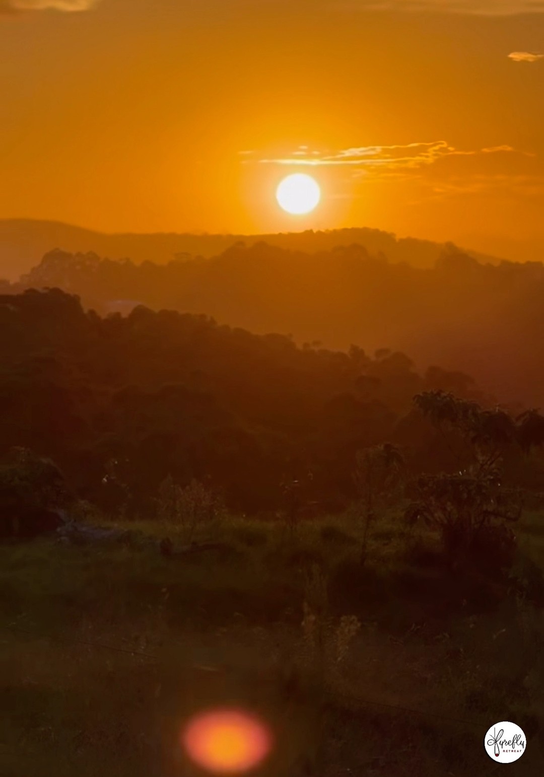 🎉🎂🥳 HBD
🎥 Leidynel Rutaquio 🙌 #weekendgetaway #scenicrim #offgrid #luxuryescape #beechmont #secluded #mountainview #fyreflyretreat #tinyhouse #visitscenicrim #thisisqueensland
#goldcoasthinterland @destinationscenicrim @scenicrimguide @scenic_road_magazine