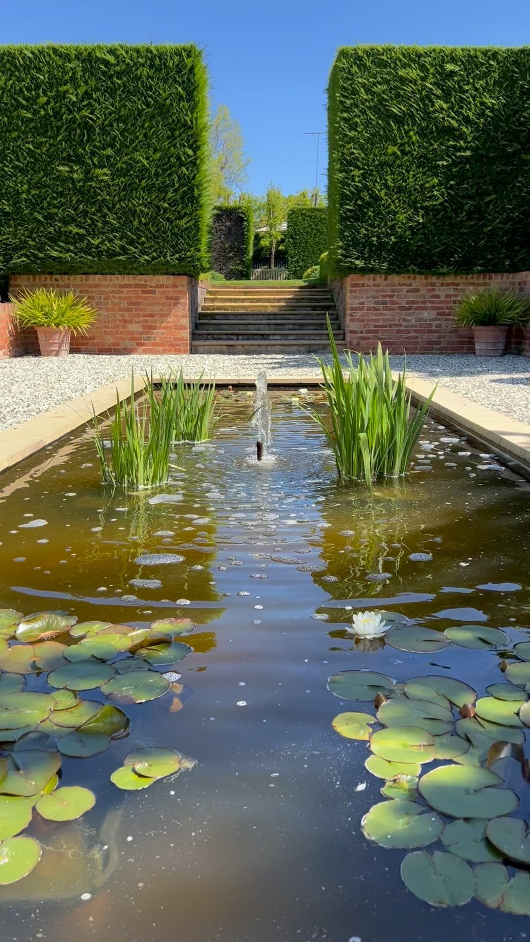 We’re a long way from the beach but the Old Rectory garden still includes water views!
Some November and summer holiday weekends still available: booking enquires via our website or @airbnb
The Old Rectory is listed by @nationaltrustvic
Our garden is maintained by @ruralgardensaustralia and appeared on @abcaustralia Dream Gardens.
Terracotta pots supplied by @kellockpotsnplanters
@visitmacedonranges
@daylesfordmacedonranges
@piperstkyneton
#kyneton
#macedonrangesweddingaccommodation
#sunkengarden
#oldrectory
#waterfeature
#pond
#waterlillies
#formalgarden
#ifitfliesfloatsorflowersrentit