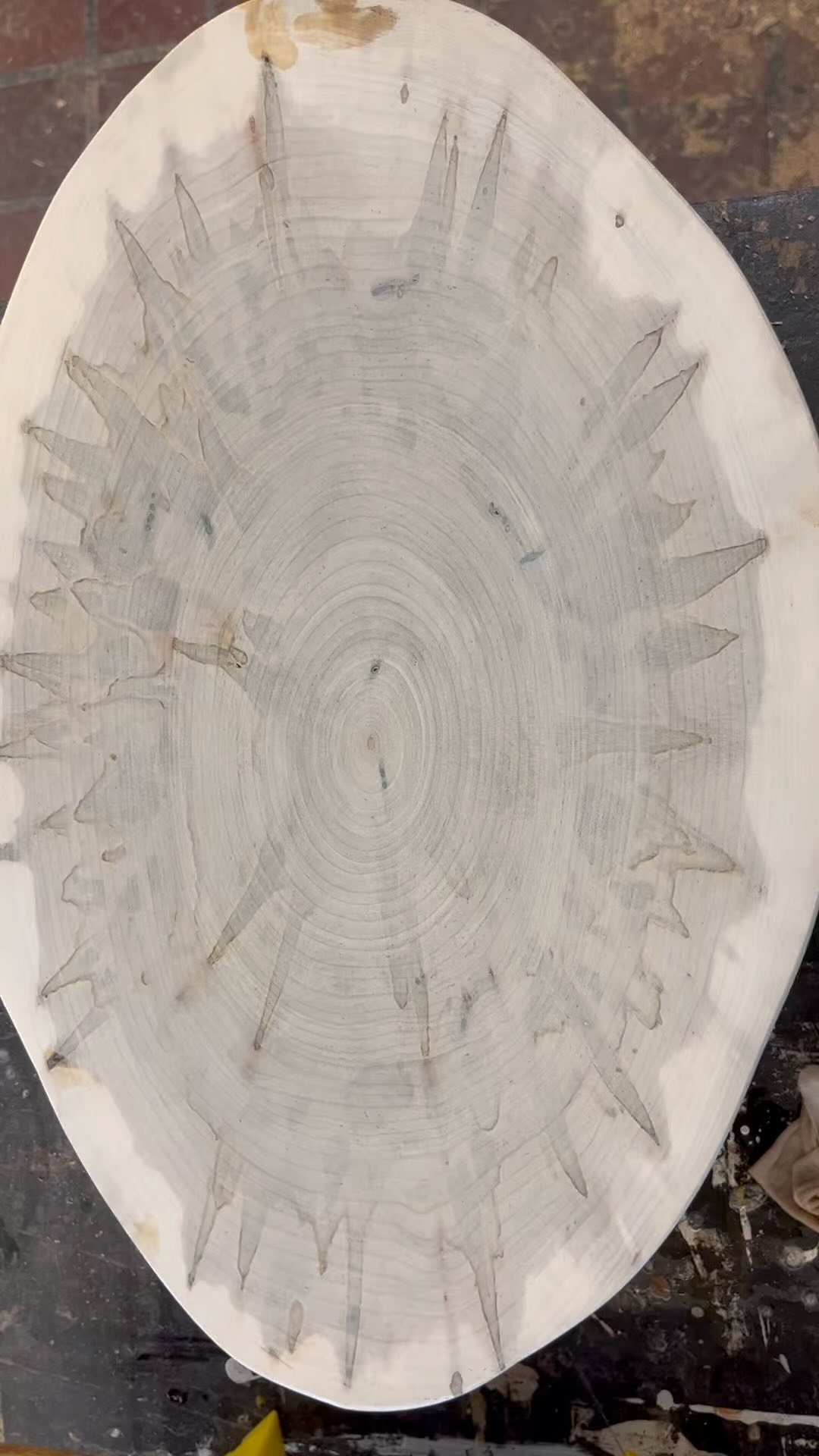 Ambrosia maple