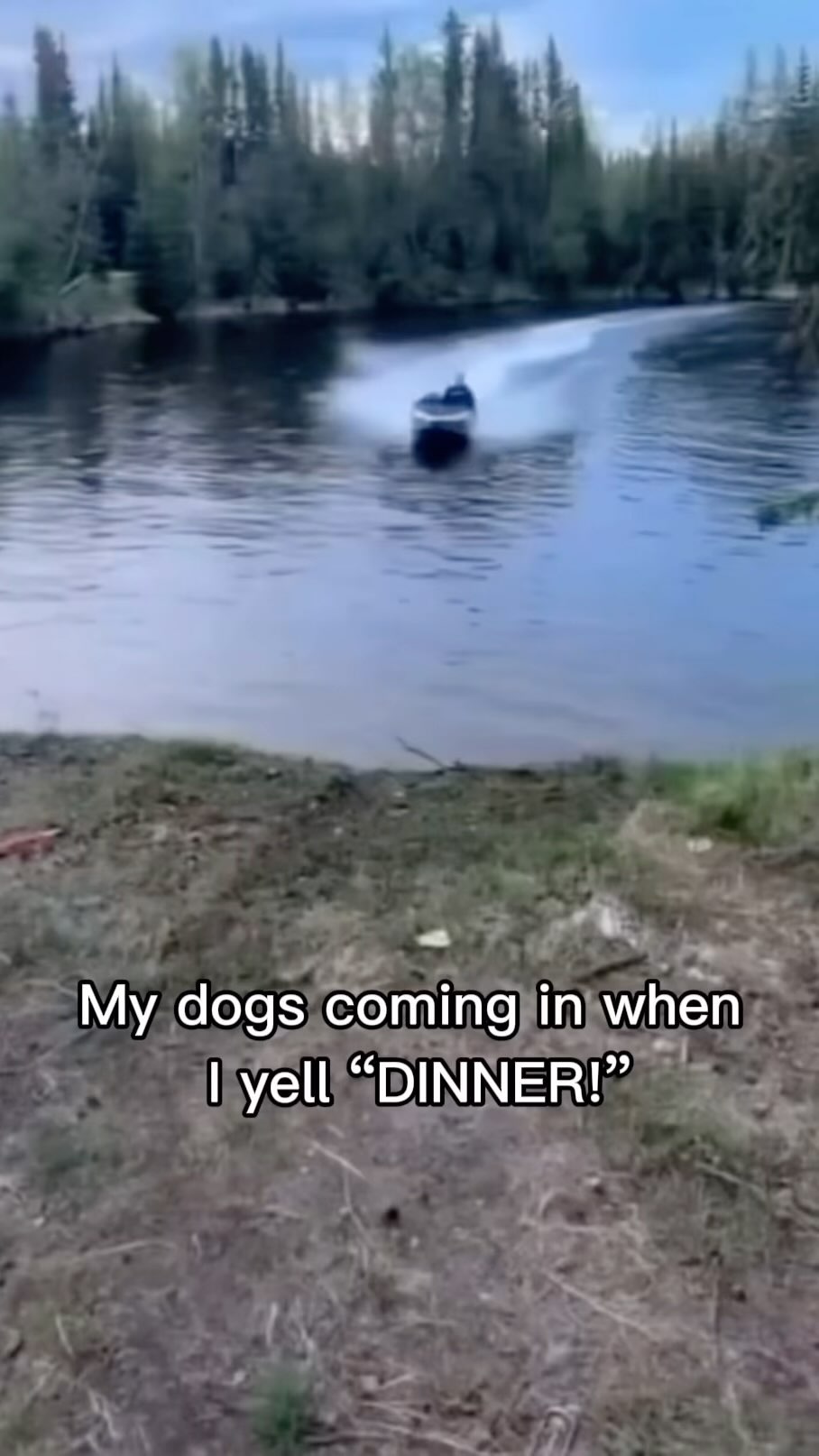 Just me?
#birddog #dogsofinstagram #gundog #hunt