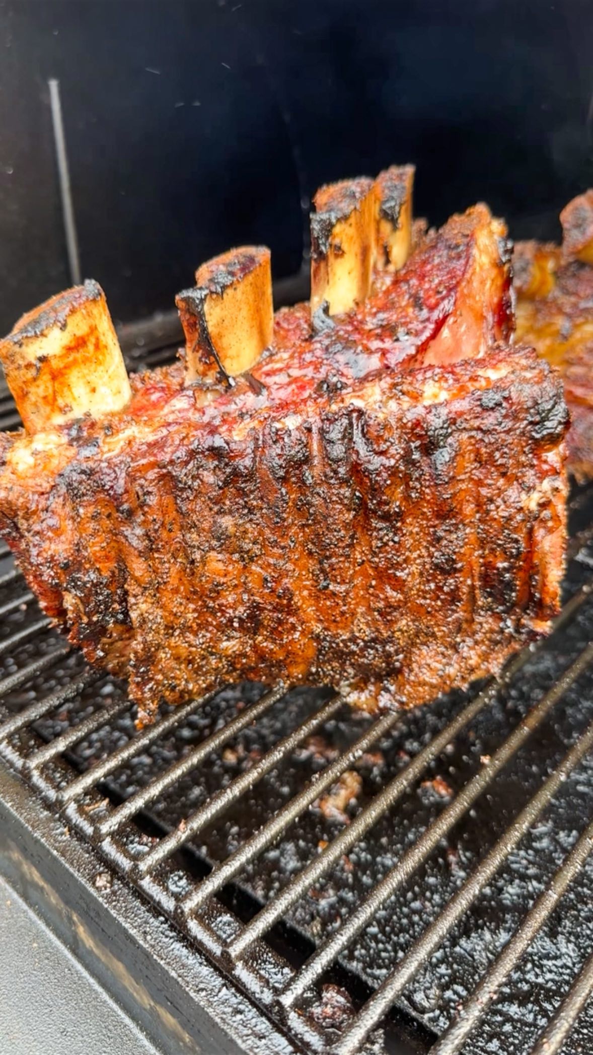 NLC Plate Ribs 🤤