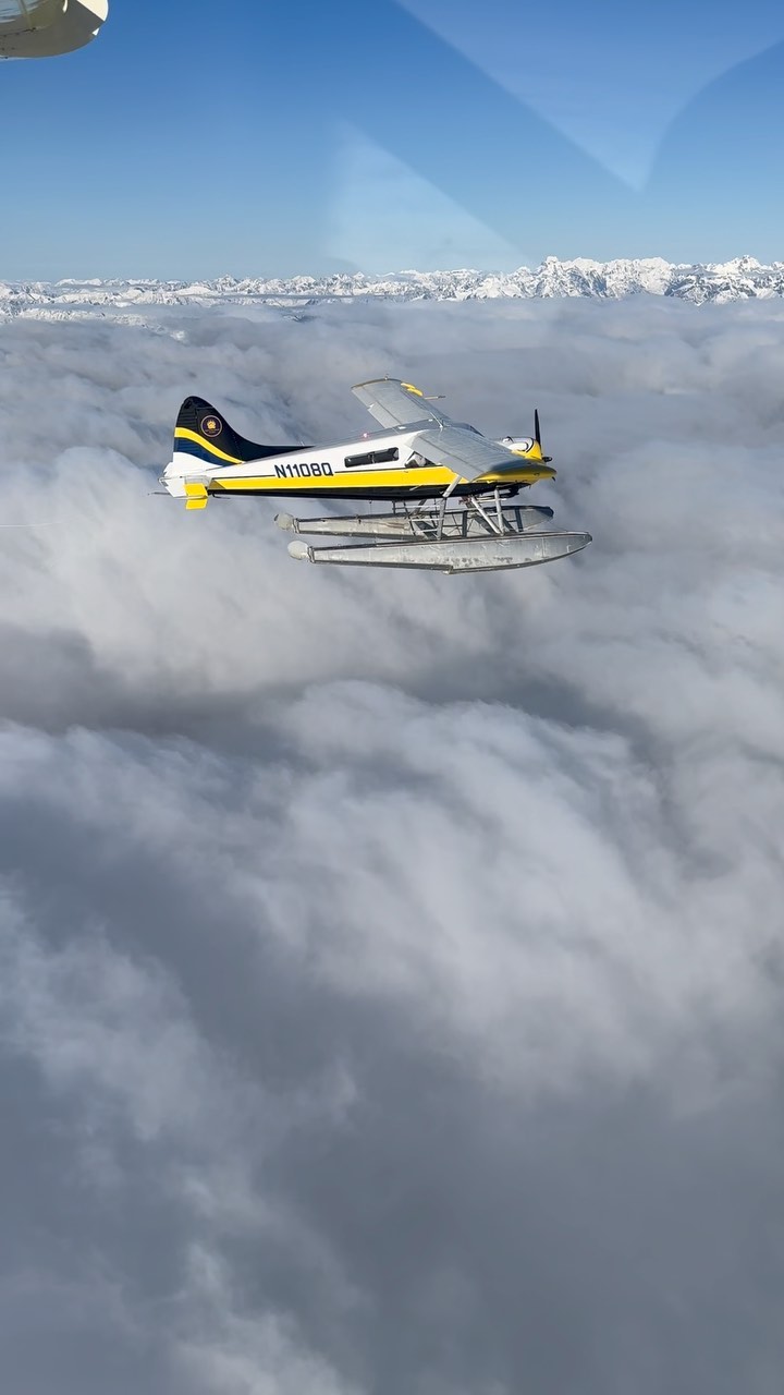 The fly by
#alaska #lakeclarkresort #aviation #explore #reels