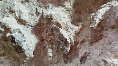 From yesterday π₯ removal of two Levallois cores π€
#lithics
#prehistory
#paleolithic
#excavation