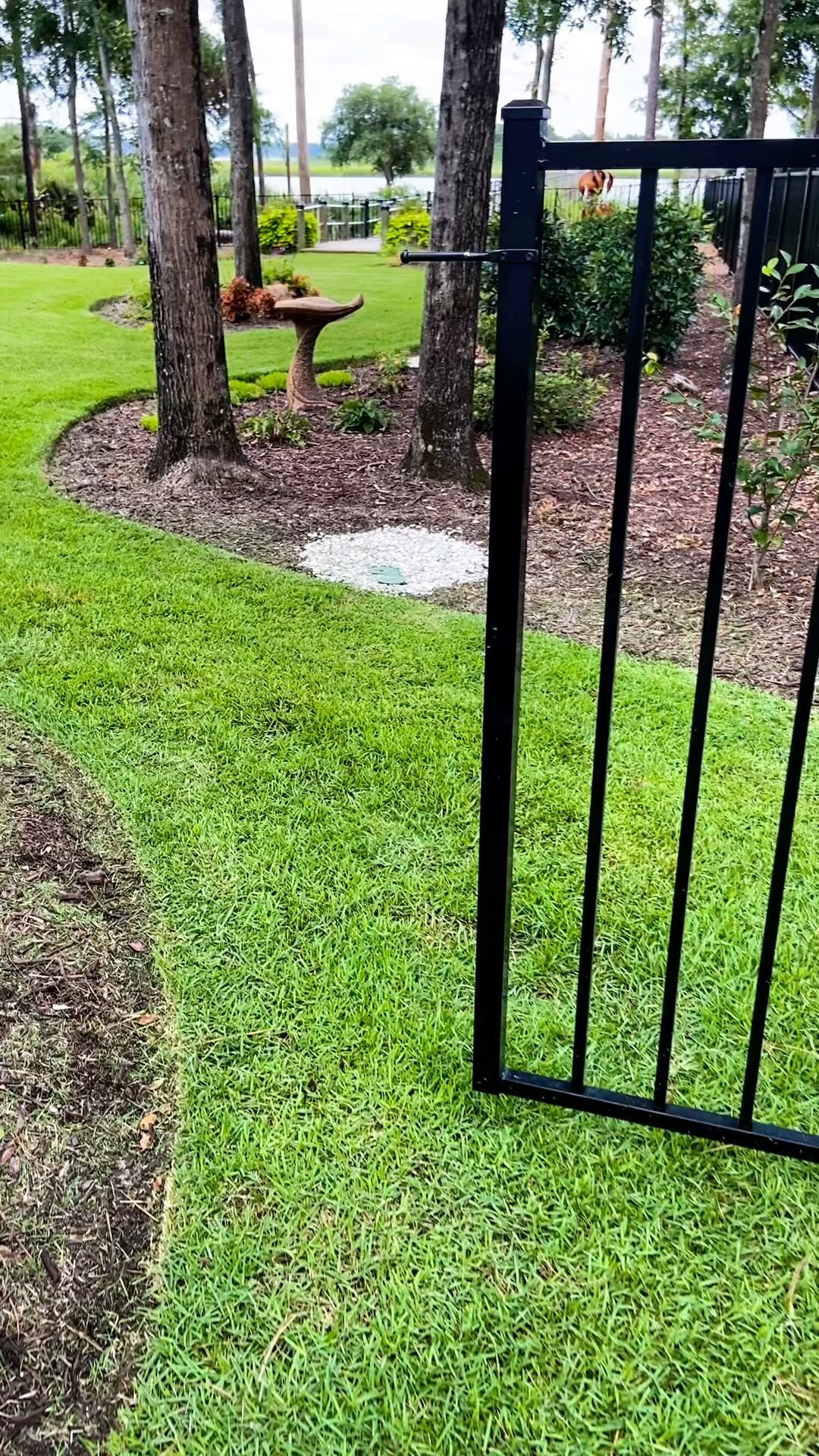 We love what we do!!!
#wilmington #leland #castlehayne #landfall #wrightsvillebeach #downtownwilmington #portersneck #carolinabeach #ogden #monkeyjunction #rubbermulch #mulch #chocolatemulch #lawncare #lawnmaintenance #pruning #sod #ilm #portcity #landscaping #landscapes #Wilmingtonnc #commercial #residential