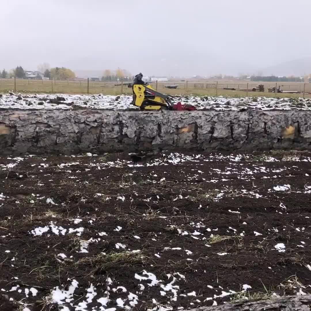 October planting came upon us fast as we settled into our new home. The farm has been horse and cattle pasture for at least 30 years before we bought it, so we needed to plow and condition the soil before planting our first crop. Read more on our blog, link in bio.
#RegenerativeAgriculture #SmallFarms #HealthySoil #CommunitySupportedAgriculture #SustainableHarvest #Sustainability #LocallySourced #FreshProduce #EthicalFarming #GreenLiving #WomanOwned #FemaleFarmer #WomenInAg #womeninagriculture #womenfarmers #bossbabe