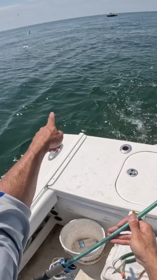 Fun morning matching the hatch with a small sandeel feed in full effect. Talon110 sinking jerkbait in Sand Eel was very very effective with these picky bass in clear water. 4” with the translucent imitative finishing was tough to resist.