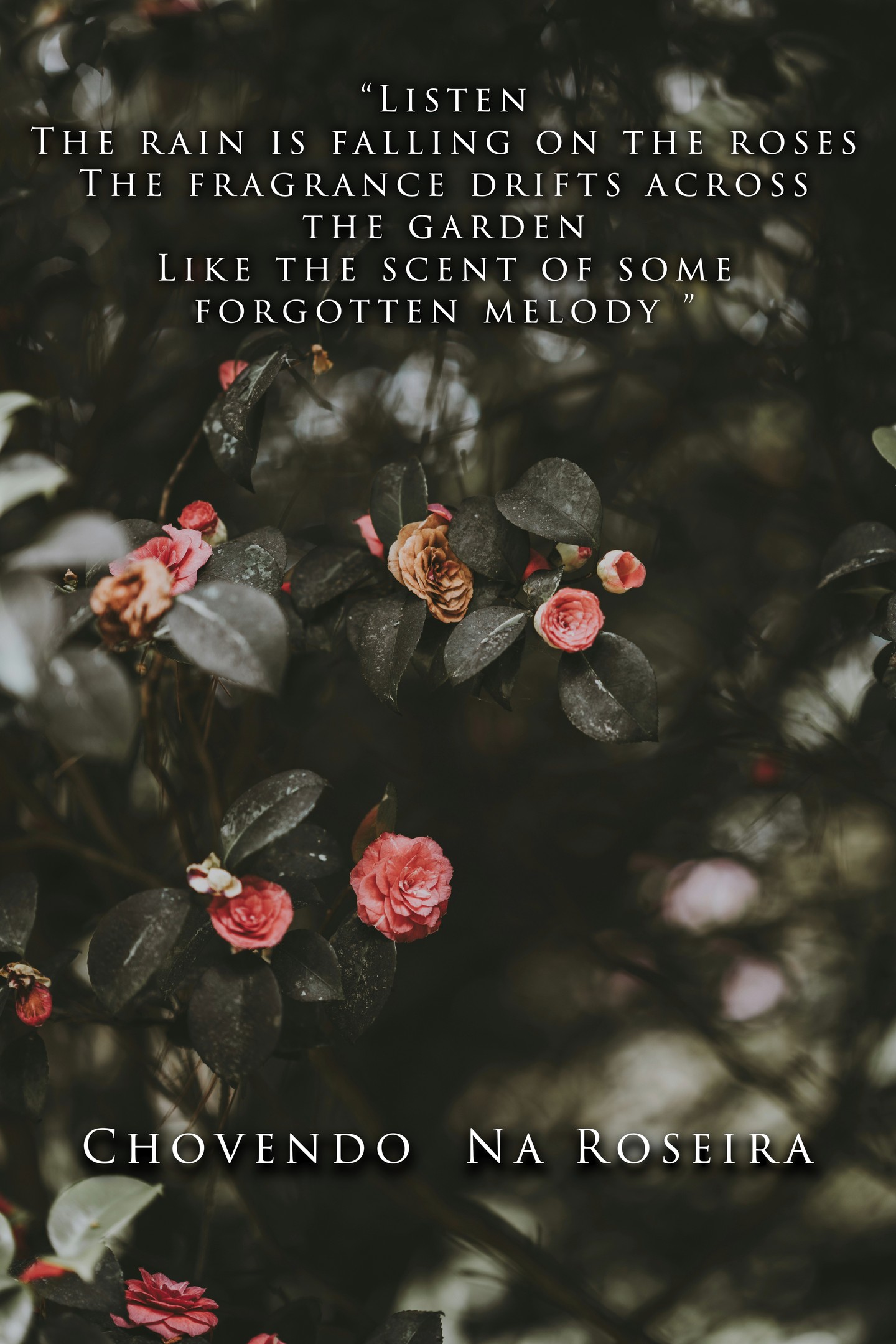 "Listen, the rain is falling on the roses. The fragrance drifts across the garden like the scent of some forgotten melody" 🌹🎶
"Chovendo Na Roseira" by Antonio Carlos Jobim (arr. João Luiz) streaming on all platforms now!