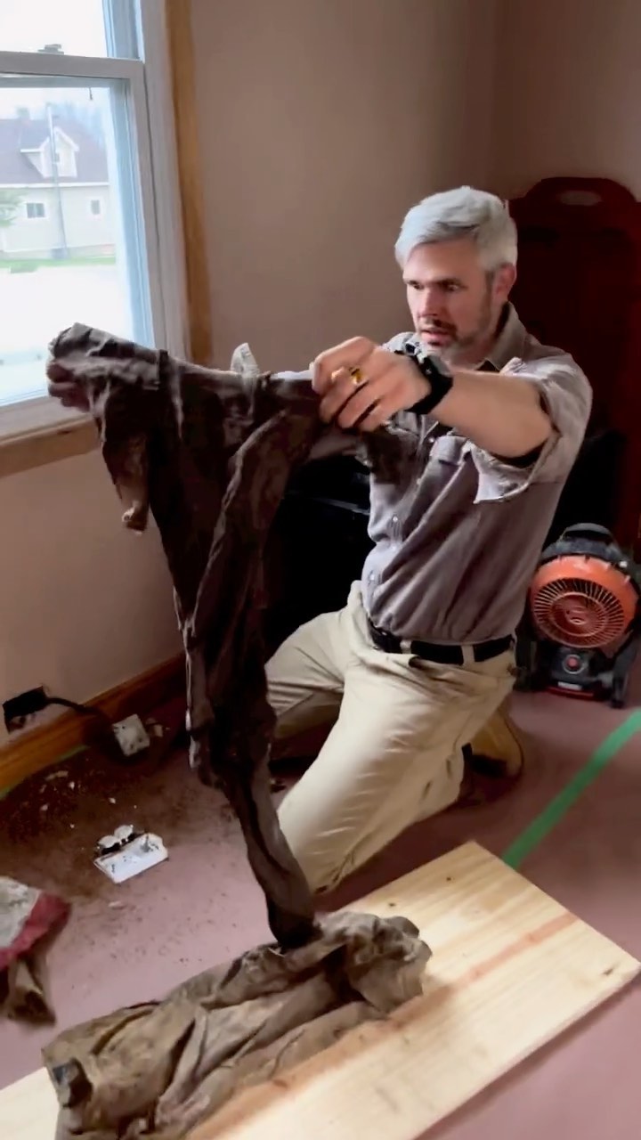 #renovation , #antique , #gold