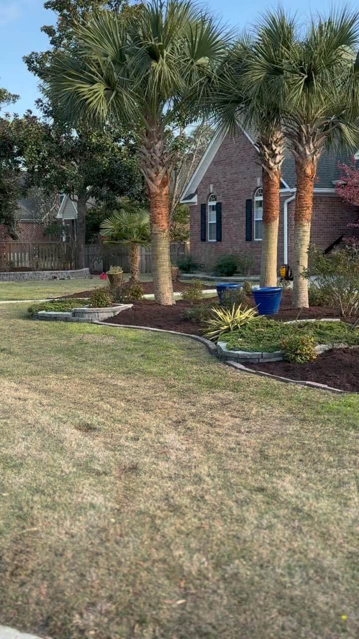 Quality landscape maintenance. On time. No excuses.🌳🌴
#wilmington #leland #castlehayne #landfall #wrightsvillebeach #downtownwilmington #portersneck #carolinabeach #ogden #monkeyjunction #rubbermulch #mulch #chocolatemulch #lawncare #lawnmaintenance #pruning #sod #ilm #portcity #landscaping #landscapes #Wilmingtonnc #commercial #residential
