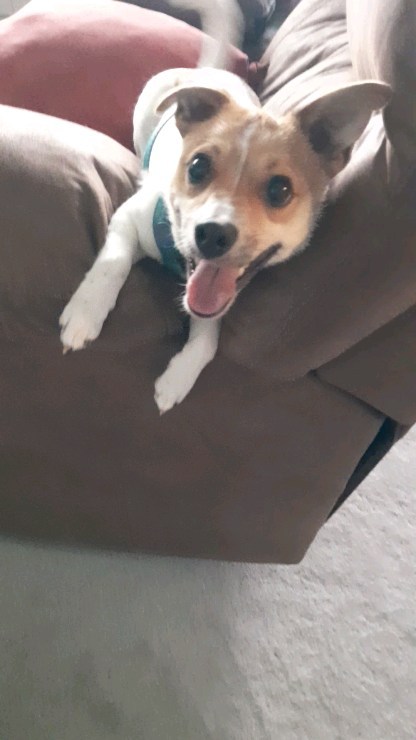 Willie is 1! Happy Birthday to the littlest guy!