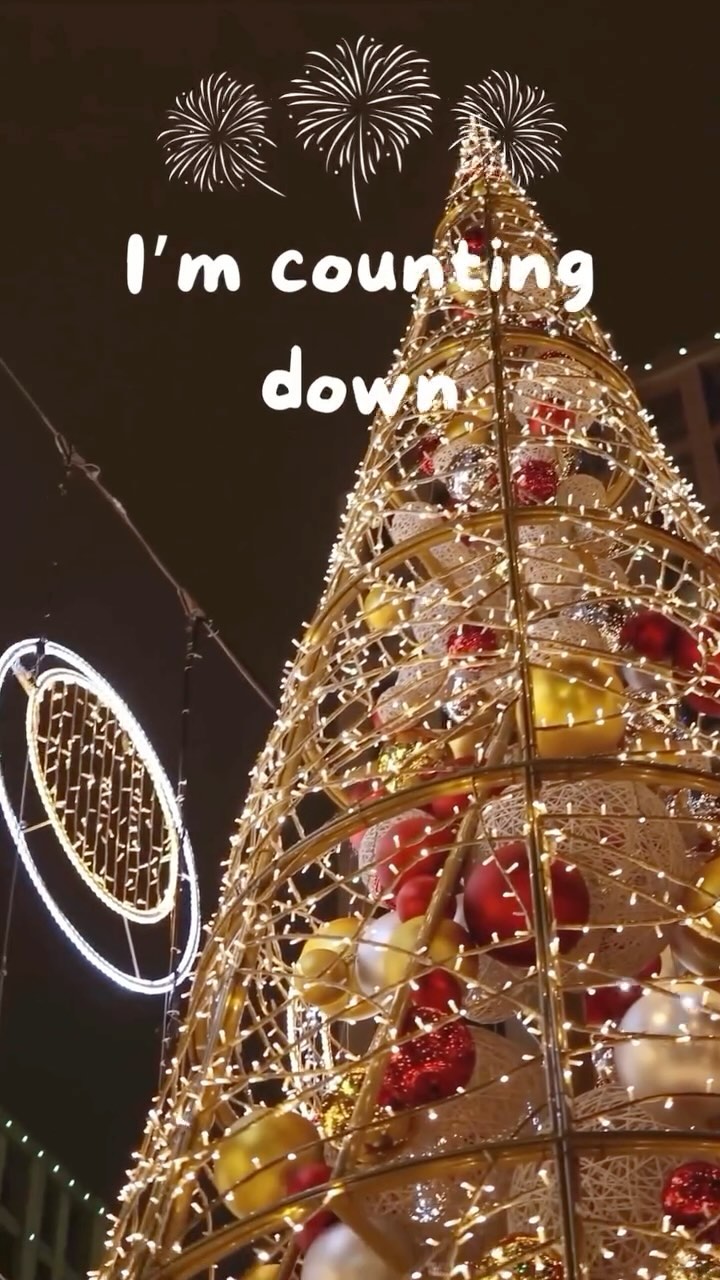 Am I the only one? 🎄🛳️🗓️
.
.
.
#throwbackthursday #throwback #christmas #travel #countdown #letsgo #neverlosttravels #neverlostpanda