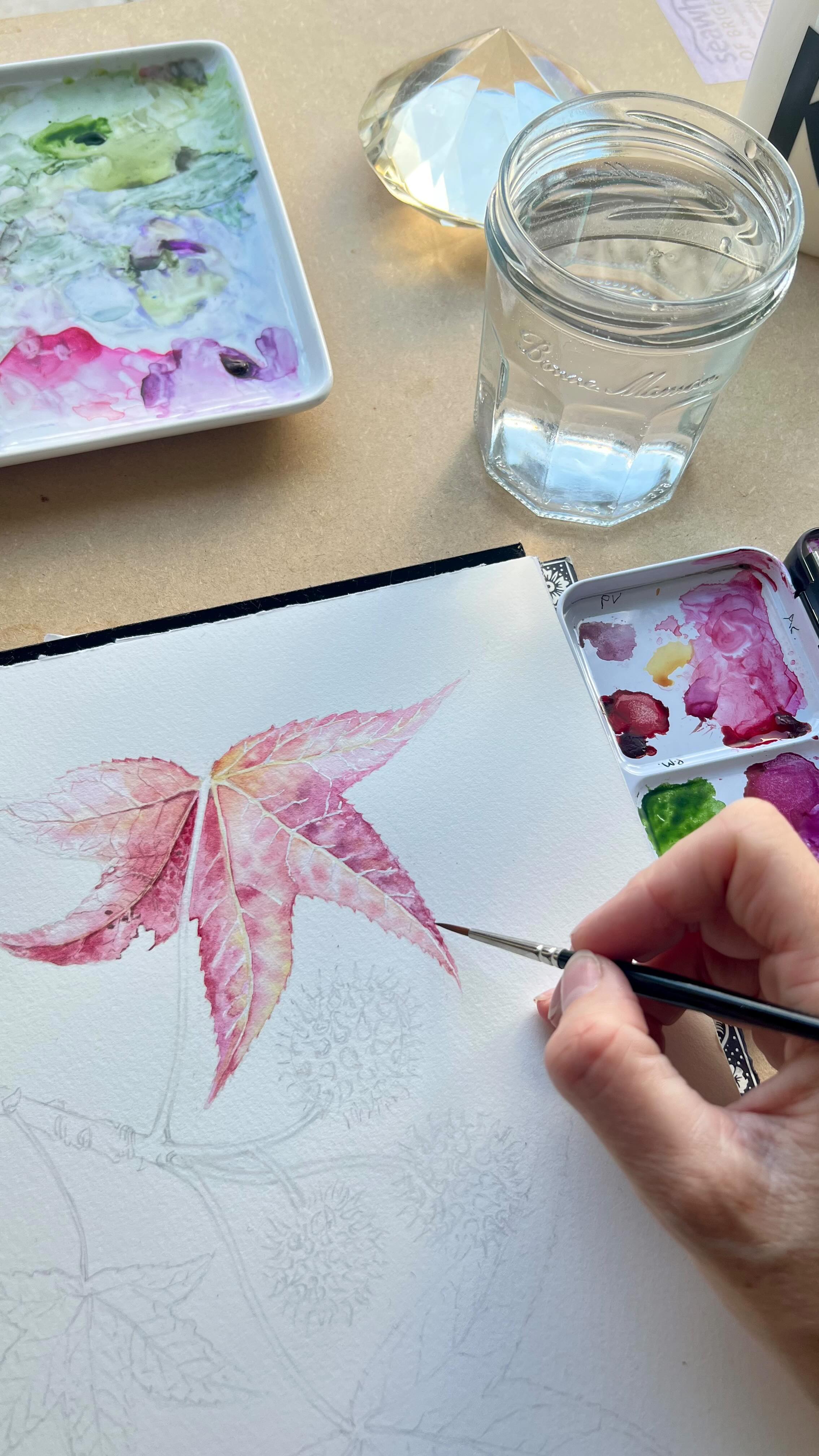 🍁 Wet-in-wet first layers 🍁💦 #watercolour
A little study of Liquidambar styraciflua, sweet gum, with rainbow Autumn leaves and spiky green fruit 🩷❤️🧡💛💚
#botanicalart #botanicalillustration #watercolourwip #reelart #autumnleaves #surreylife #surreymums #artistsoninstagram #artreels #painting #paintingtips