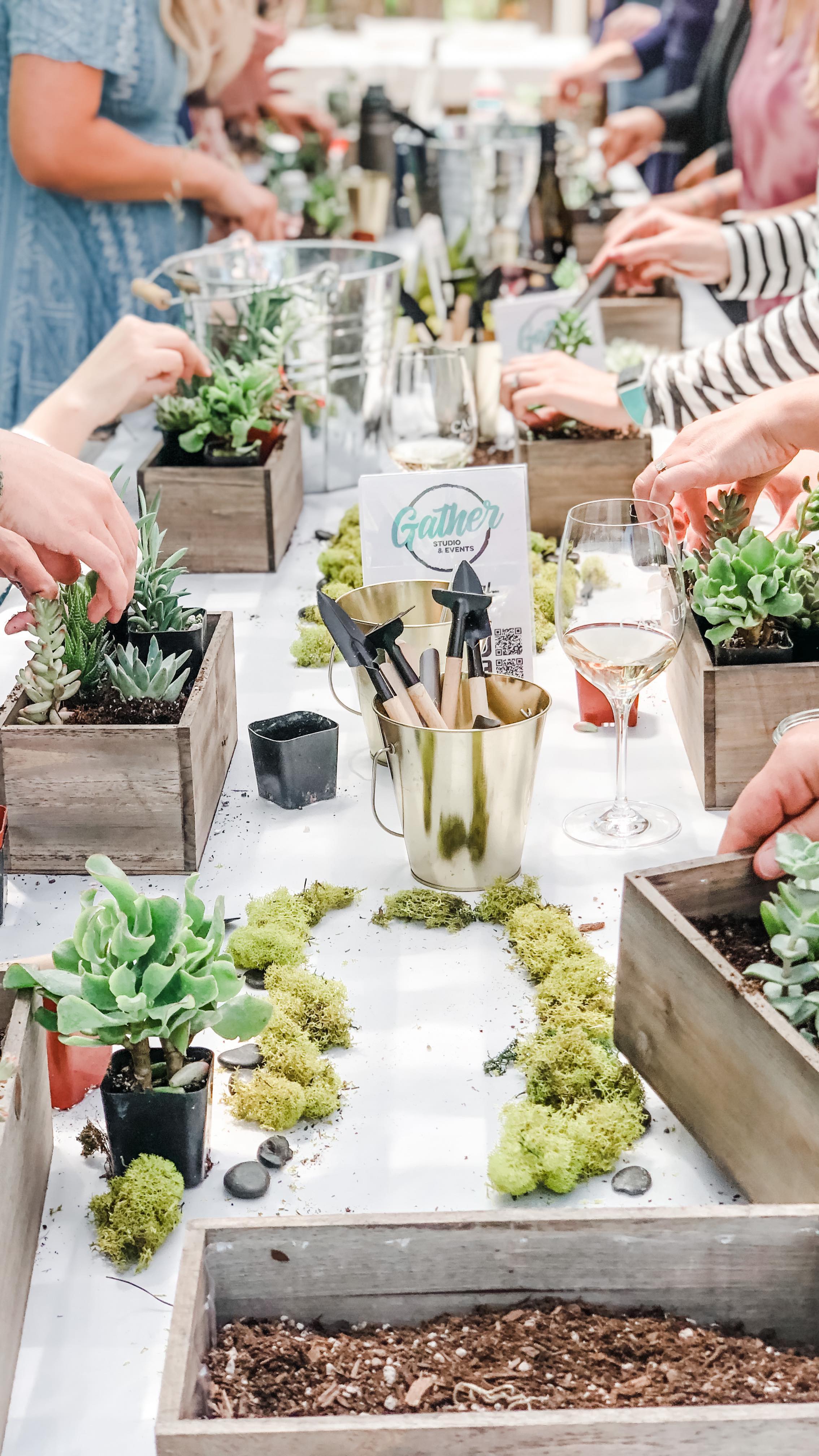 We are excited to be partnering with @bluebarnprovisions in Camino for a Succulent Garden Box Workshop on 4/13! They have a beautiful space, great food and drinks! Tickets on our website: www.GatherStudioandEvents.com