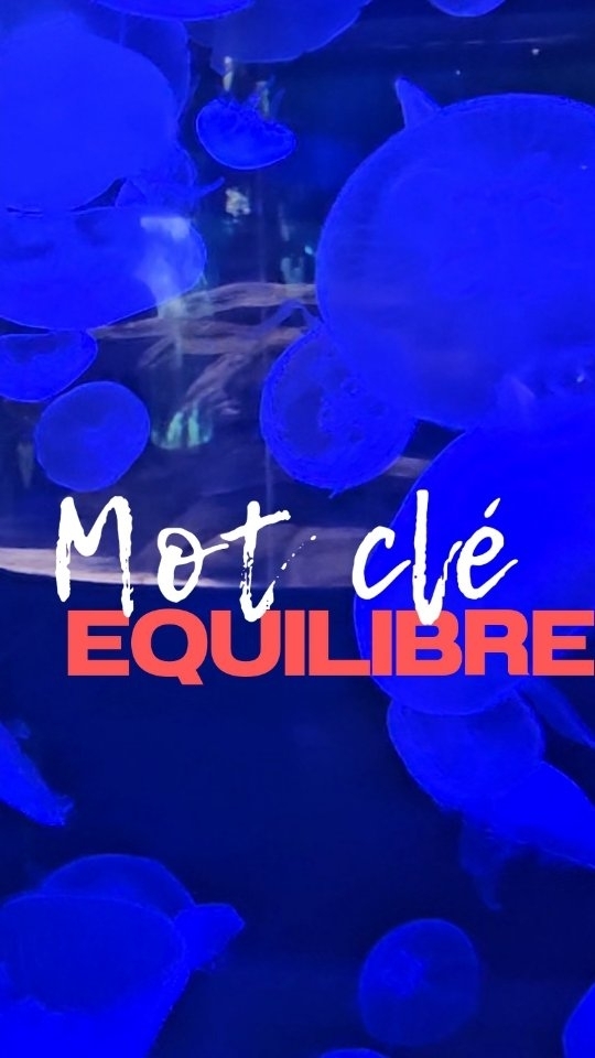 ✨ L'équilibre entre le corps et l'esprit est essentiel pour performer au mieux ! ✨
Pour exceller dans le sport, il est crucial de prendre soin de ton bien-être mental tout autant que ton physique.
Pratique des activités relaxantes comme la méditation ou des techniques de respiration pour équilibrer tes pensées et tes émotions.
● Écoute ton corps : Accorde toi des pauses lorsque nécessaire pour éviter le burn-out.
● Reste positif : Une attitude optimiste booste non seulement ta performance, mais aussi ton plaisir à pratiquer.
🌈 Investir dans ton mental, c'est investir dans ton succès sportif ! #Équilibre #BienÊtre #Sport