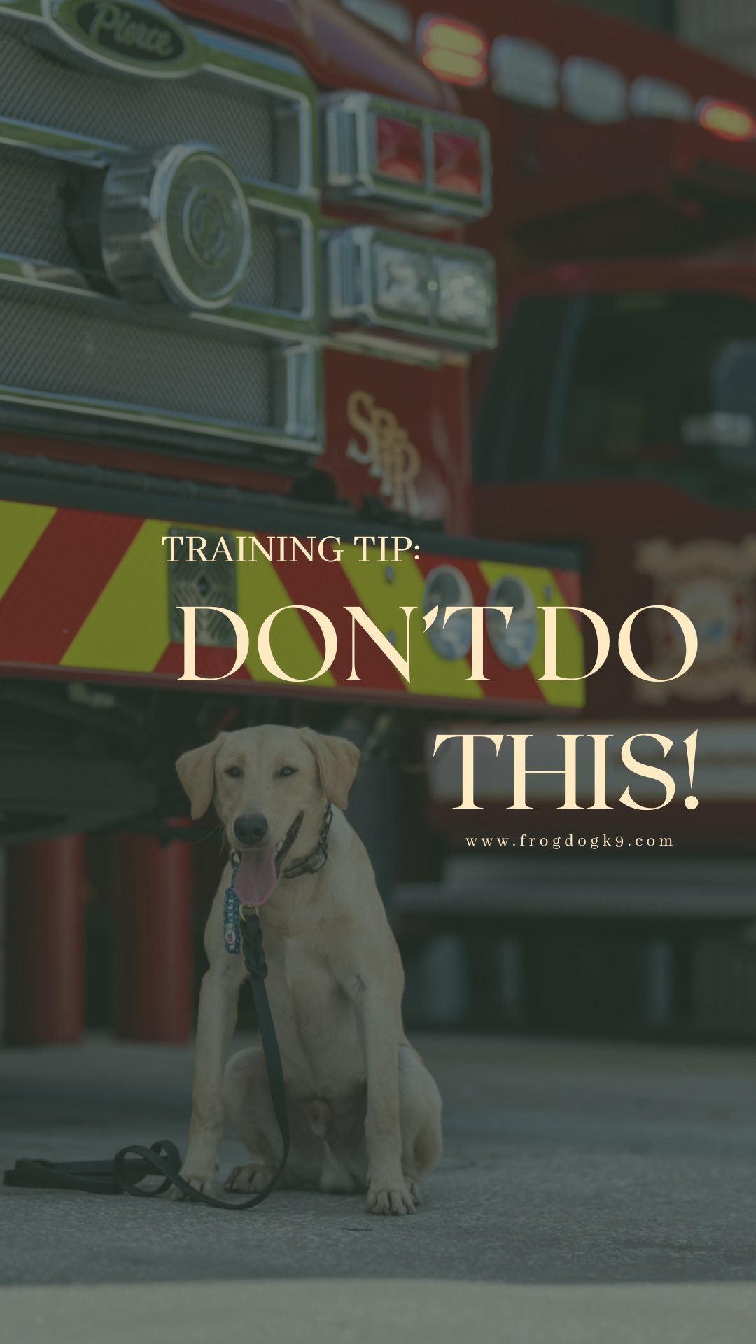 Training Tip of the DAY: What NOT to do! 🐾
One of the most common mistakes we see beloved pup owners make is THIS
Try it out and let us know what you think!
Even an old dog can learn a new trick every now and then 😉
Photo By: @osaki022
Video By: @kb_content_
#dogtraining #dogtrainer #dogtrainingtips #puppylove #yellowlab #supportthetroops #k9 #veternanowned # veteran #serviceanimal #suicideawareness #nonprofit #charity #servicedog #usa #patriot #757 #Chesapeake #virginiabusiness #virginiaevents #suicideprevention #therapydog #labpuppy