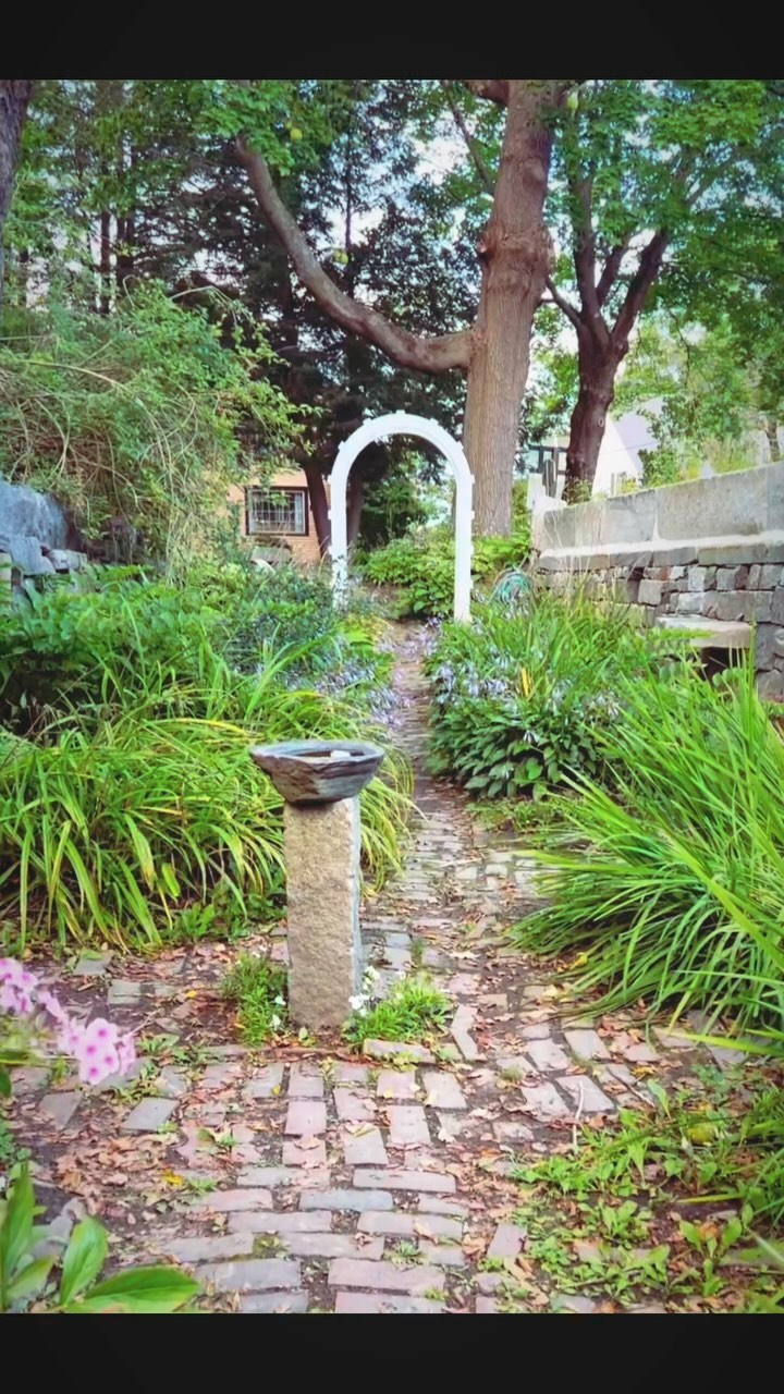 We’re thrilled to be back on Instagram!
Follow for inspiring images of our enchanting gardens and to learn about the educational events we host here in Wiscasset.
#wiscasset #wiscassetmaine #wiscassethistoricdistrict #nickelssortwellhouse #wiscassetsunkengarden #lincolncountymaine #gardening #gardenclub #gardenclubofwiscasset #gardenclubofamerica #gardenclub #gardenclubfederationofmaine