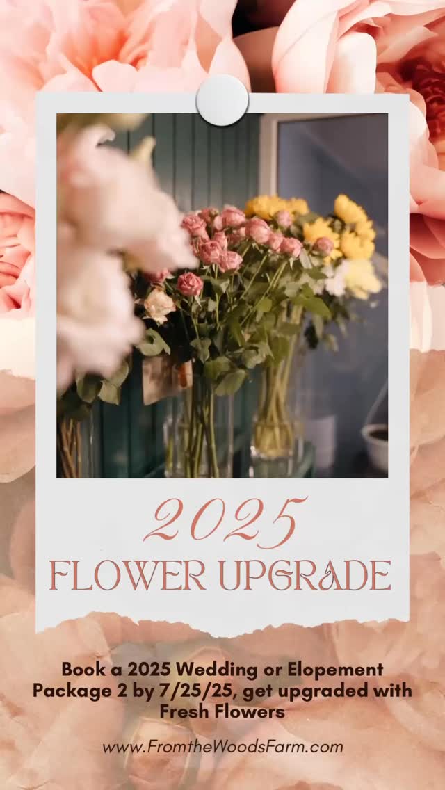 Your wedding does not need to be complicated!
Let’s us help you create a relaxed and custom day meant to celebrate with the people closest to you: 50 guests or under with special elopement packages.
We only have a FEW openings for 2025 still and I’m feeling kinda crazy today: I’ll throw in a FULL FRESH FLORAL package with your reservation of our package 2 by 7/25!
You must be able to come out for a consultation and secure your booking BY 7/25/25 (this month). Fair warning we only have 1 October weekend available!
Email me today: Amy@fromthewoodsfarm.com
-see full packages on our website: www.fromthewoodsfarm.com
