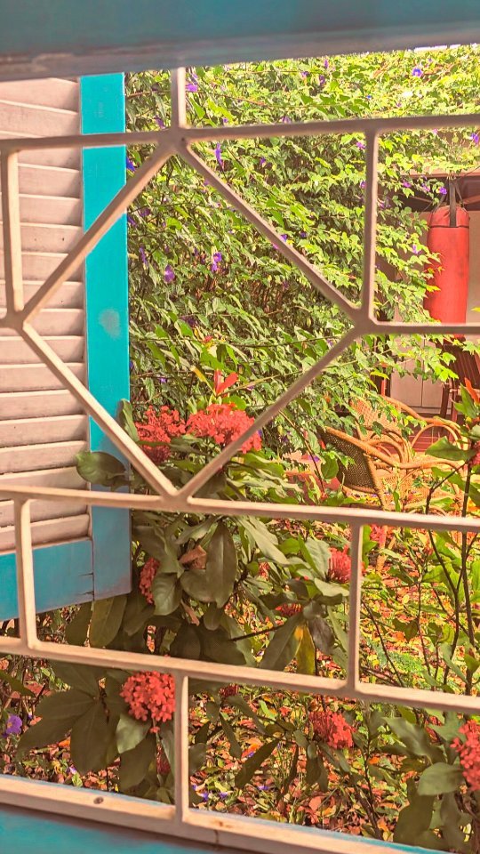 Você pode, sim, romantizar o seu dia a dia.
Pode ligar uma música alto-astral enquanto prepara o café da manhã;
Pode caprichar na hora de arrumar a mesa;
Pode acender velas perfumadas no quarto depois do banho;
Pode encontrar uma pausa de poucos minutos para ler algumas páginas de um romance;
Pode se arrumar de um jeito que te faça se sentir bonita;
Pode preparar um bule de café e conversar sobre coisas divertidas com seu marido, filhos, irmã, mãe ou amigas;
Pode preparar um pequeno arranjo de flores para enfeitar a sala;
Pode cultivar o hábito de prestar atenção às preciosidades que te cercam.
Que tal deixar o celular de lado e ir colocar em prática alguma dessas ideias?🍂🌿