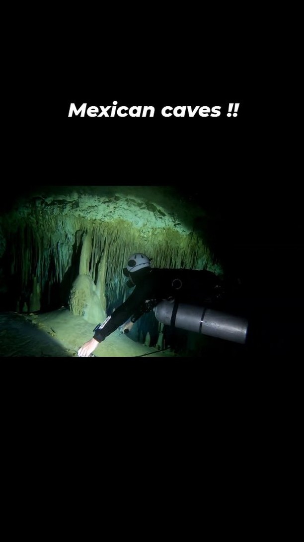100s of cave divers come to Tulum Mexico to dive caves like this. Tulum is an amazing places to either cave dive or learn to cave dive. Get in contact for more details about diving in the magical underworld.
#sidemountdiving #cavediving #tdisdi #cavetraining #padi #minediving #ukdiving #cavedivetraining #shearwater @lightmonkeyofficial
@diverite84
@xdeep_dive_gear
@apeksdiving
@diveshearwater
@narkedat90