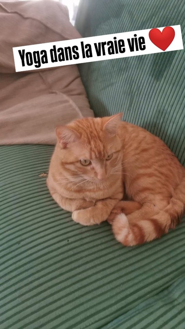 Le yoga appliqué dans la vraie vie 🔥
#yogadébutant #yogadanslavraievie #yogafrance #chatroux