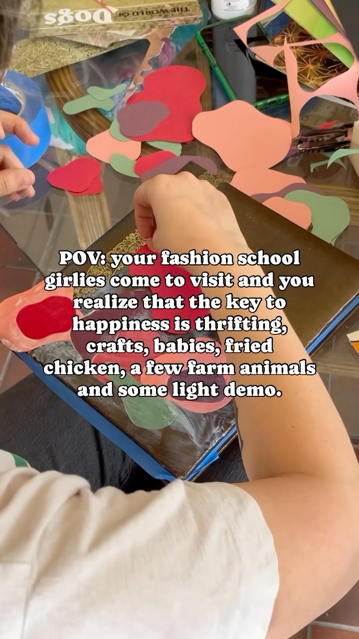 POV: your fashion school girlies come to visit and you realize the key to happiness is thrifting, crafts, babies, fried chicken, a few farm animals and some light demo 🥹