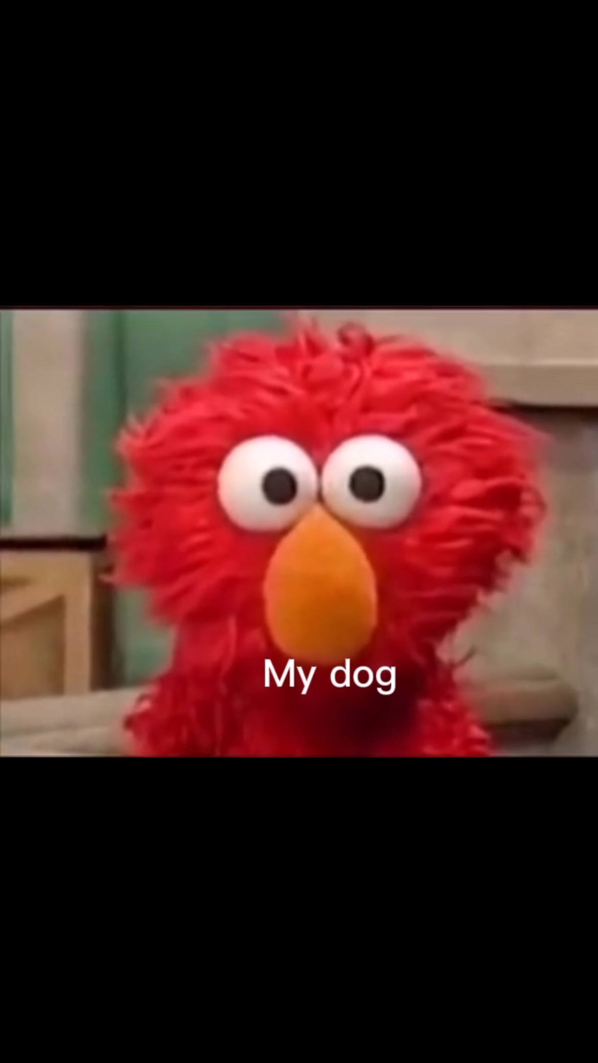 Our poor dogs 🤷🏼♂️
#upland #gundog #pointers #labsofinstagram