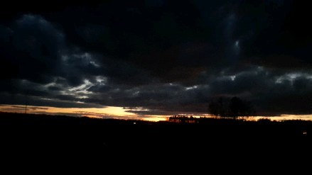 Early farm season is a lot of refreshing my memory. What time does it get dark in early May? Where did I plant the ______ last year? Who is that I'm hearing?
Tonight it was a woodcock! This video is shaky (one handed recording), but you can still hear* two different woodcock calls. One is a funny little call. The other makes you question if it's going to end sometimes.
I had two fly overhead tonight. This one sounded like they were in north field. I've flushed them in the woods before here, but haven't seen them in the fields.
#smallfarm #birds #michigan #woodcock #americanwoodcock #greatlakes