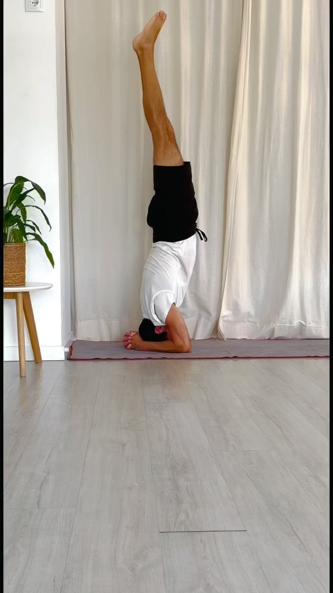 Invertida sobre a cabeça
Se já tens as bases, mas queres ganhar mais confiança na tua invertida sobre a cabeça, estas dicas são para ti!
1 - Com o corpo em prancha transfere o peso deles para as mãos e vice-versa
2 - Com os cotovelos no chão a medida dos ombros e leva as pernas alternadamente fica cerca de cinco respirações de cada vez
3 - Pratica subida com o apoio dos pés na parede
4 - Sobe para a invertida com o apoio da parede e desce as pernas alternadamente em direção ao chão
5 - Cria um ângulo de 90° com as pernas e levanta uma perna e a outra alternadamente
6 - Pratica a subida para invertida com os joelhos fletidos
7 - Pratica a subida para invertida com os joelhos esticados
Nota: o vídeo está acelerado, pratica sempre no teu ritmo e com a respiração consciente
#invertidasobrecabeça #sirsana #yogaparede #yogacascais
Aulas com Carlos Ortega
Sextas às 9h00 e 19h00
MP para mais info
Headstand
If you already have the foundations, but you want to be more confident in your headstand, these tips are for you!
1 - With your body in a plank, transfer your weight to your hands and vice versa
2 - With your elbows on the floor at shoulder height, lift your legs alternately taking about five breaths at a time
3 - Practice climbing up with your feet on the wall
4 - Go up to the headstand with the support of the wall and lower your legs alternately towards the floor
5 - Create a 90° angle with your legs and lift one leg and the other alternately
6 - Practice going up with your knees bent
7 - Practice going up with your legs straight
Note: this video is in double speed, always practice at your own pace and with conscious breath
Join Carlos Ortega classes
Friday at 9.00am and 7.00pm
DM for more info
#headstand #headstanddrills #yogaclasses