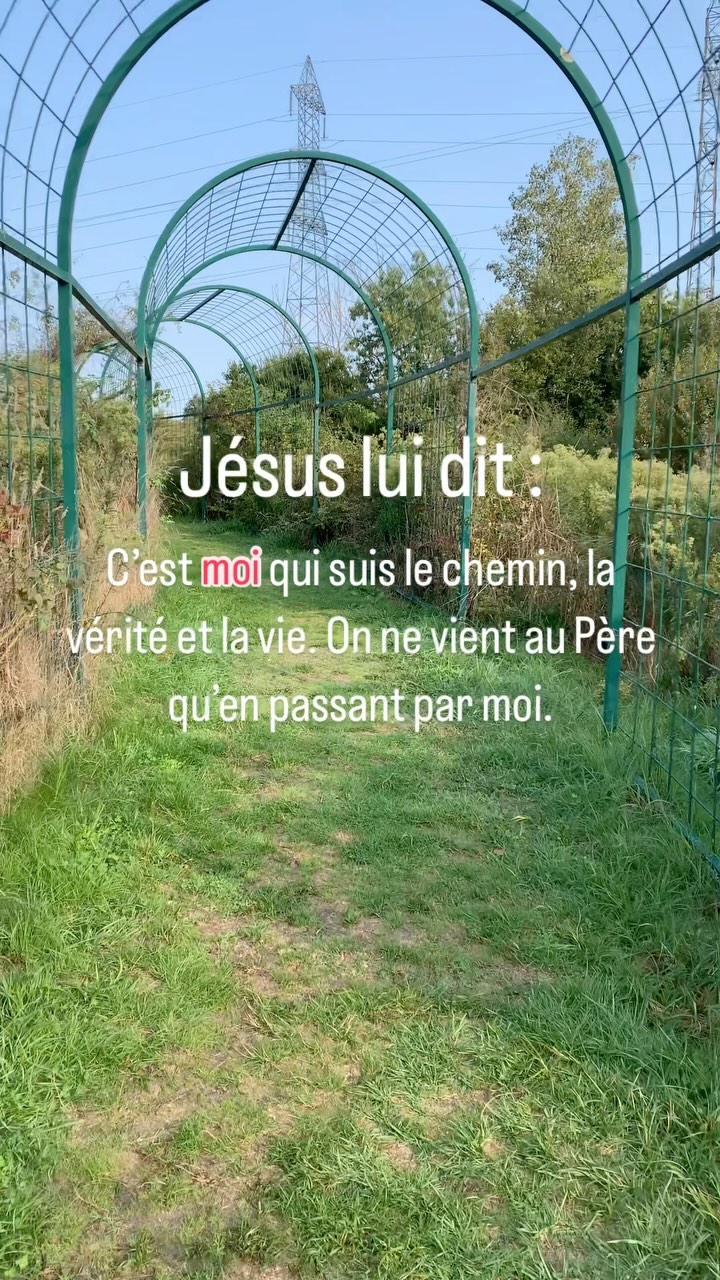Jean 14.6
Jesus est la clé. 🔥
************************
L’Assemblée Chrétienne à Bordeaux est un groupe de chrétiens qui croit fermement en la souveraineté de Dieu, l’autorité de sa parole, et l’importance de vivre une foi quotidienne, dynamique et transformative. Ça t’intéresse ? RDV à l’un de nos événements ou bien en MP !
#eglise #eglisebordeaux #chretiens #chretiensfrancais #chretiensbordeaux #bible #parolededieu