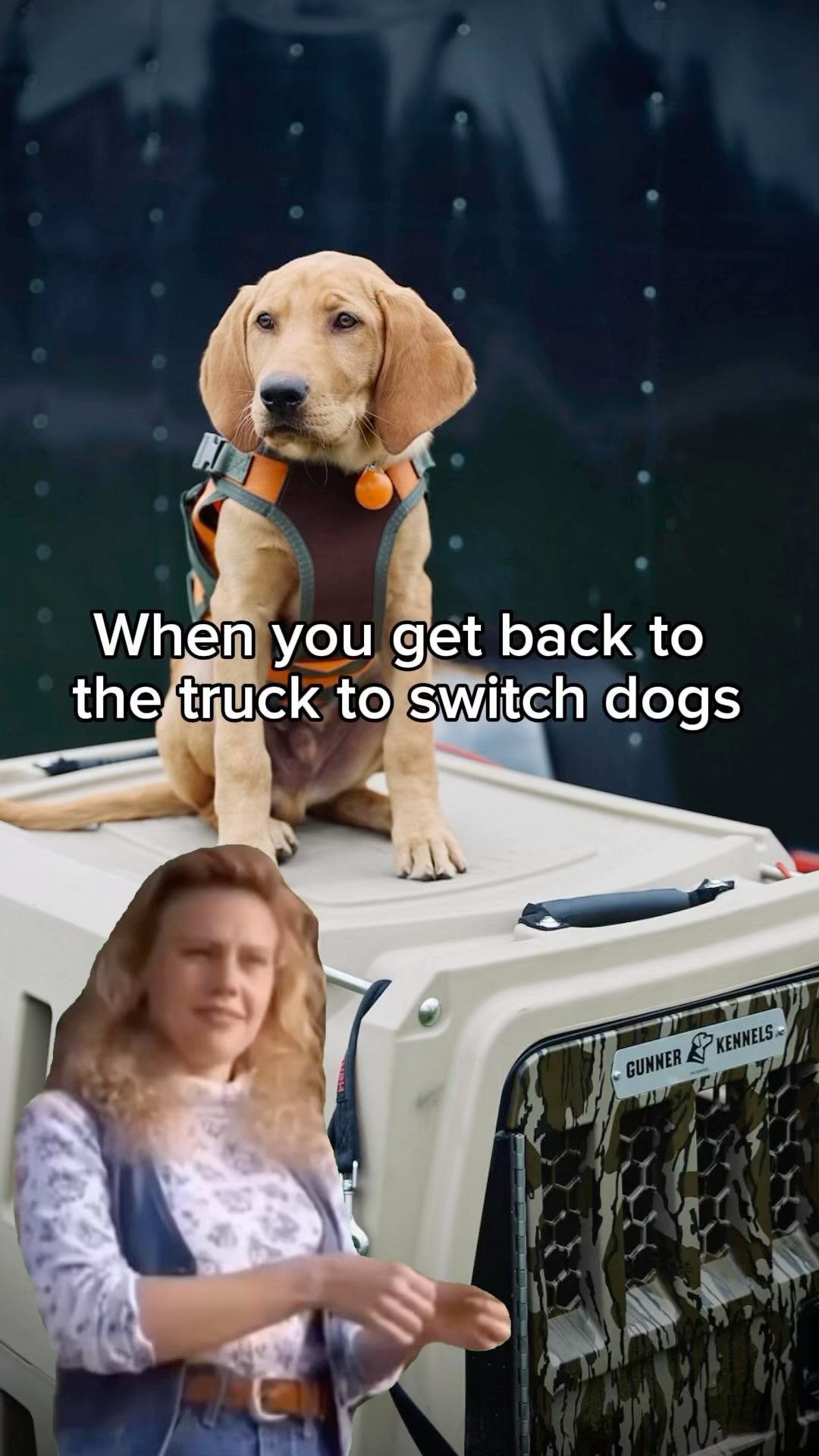 Hours of torment
#upland #gundog #waterfowl #lab #gsp #dogsofinstagram #hunting #huntingdogs