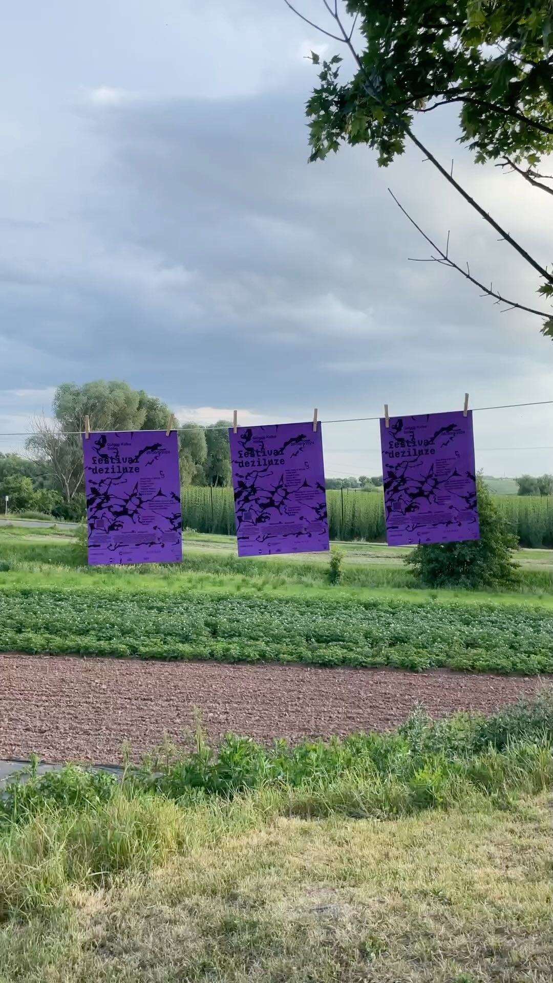 DĚKUJEME 💜💜💜
Fotky a video coming soon ✨
#FestivalDeziluze2024 #Proměna