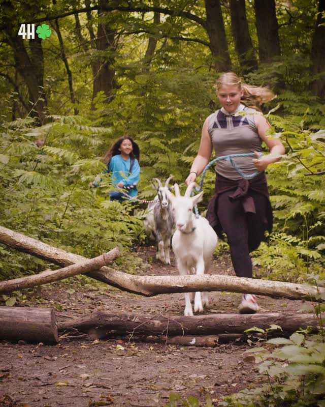 H står for Helbred 💚
4H er frem for alt et fællesskab. Her lærer børn og unge gennem sjove aktiviteter at styrke deres fysiske og mentale helbred. Det tror vi på, er vejen til trivsel.
✌️Hånd | 💡 Hoved | ♥️Hjerte | 🍏Helbred
🍀Vi er 4H🍀