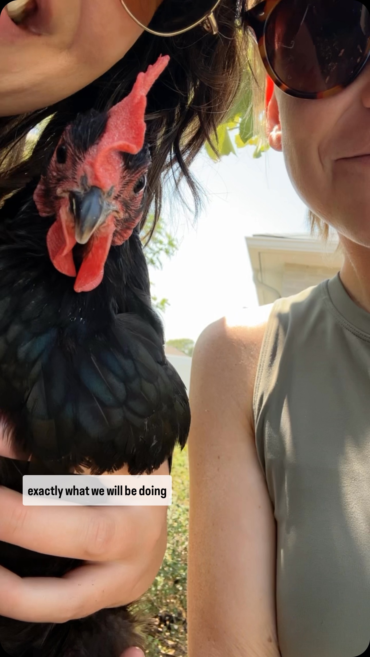 We have launched! We wouldn’t be here without you and can’t believe this is the next step for @twomomsanctuary - thank you for supporting this collective vision for community resilience. The NUMBER ONE THING you can do to help right now is share our posts! Whatever speaks to you. Please share and spread the word so we can make this a long term reality.