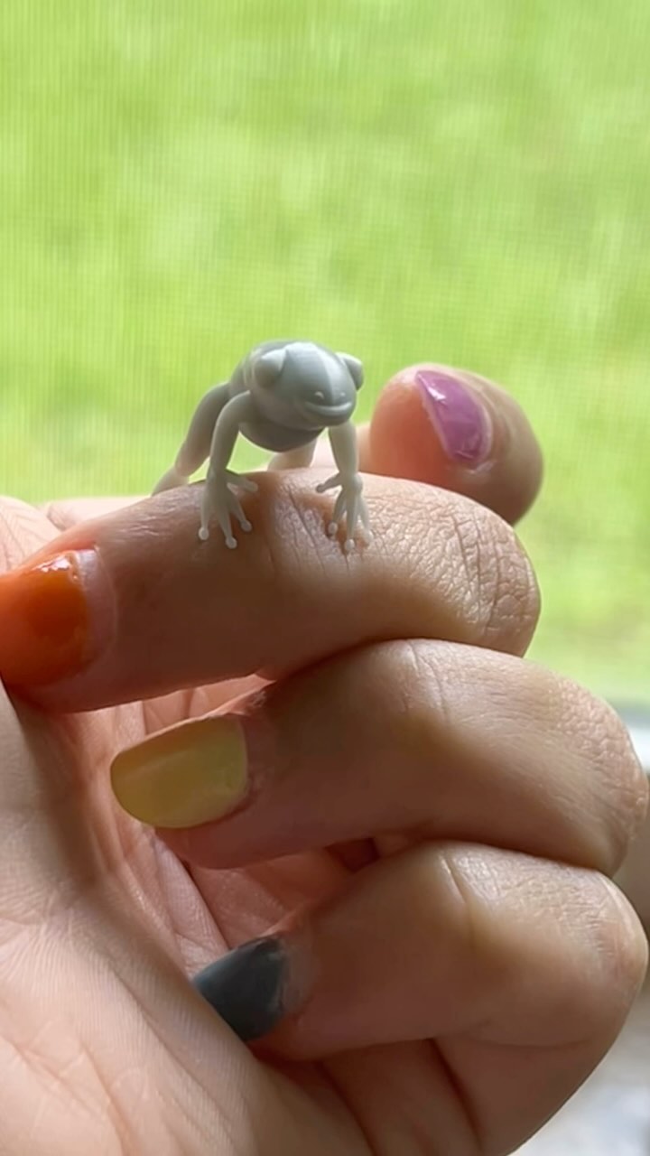 PINCHED FROG PROTOTYPE COMPLETE :)
I ran out of green resin so I’ve been testing with this boring Gray! After adjusting this print file so so many times, the simple fix was less supports and more trust.
I love how he turned out 🐸💚
#frog #3dprint #3dprintearrings #prototype