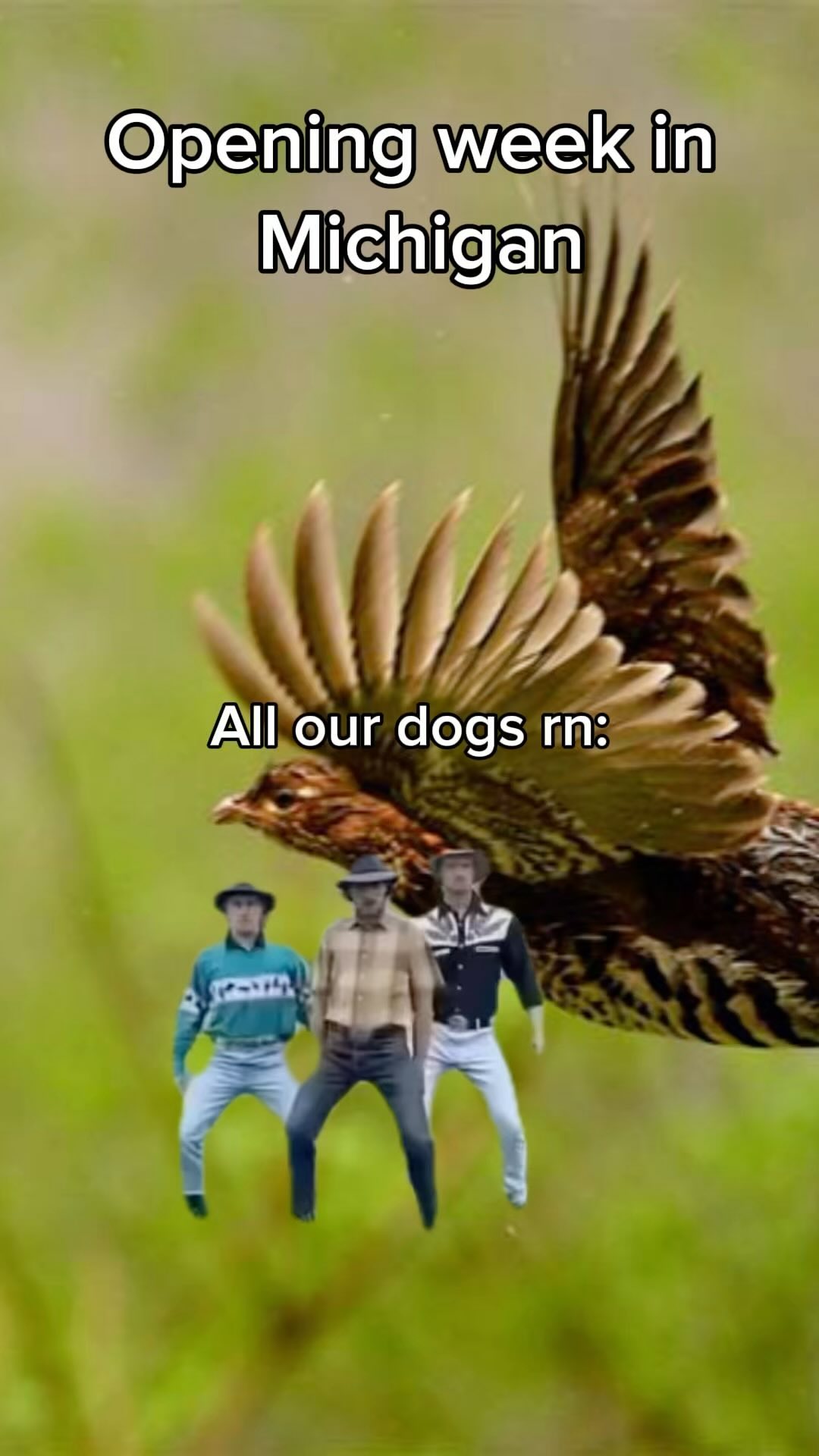 It’s here! It’s finally here!
#upland #ruffies #woodcock #theking #dogs #dogsofinstagram #gsp #lab #gundog