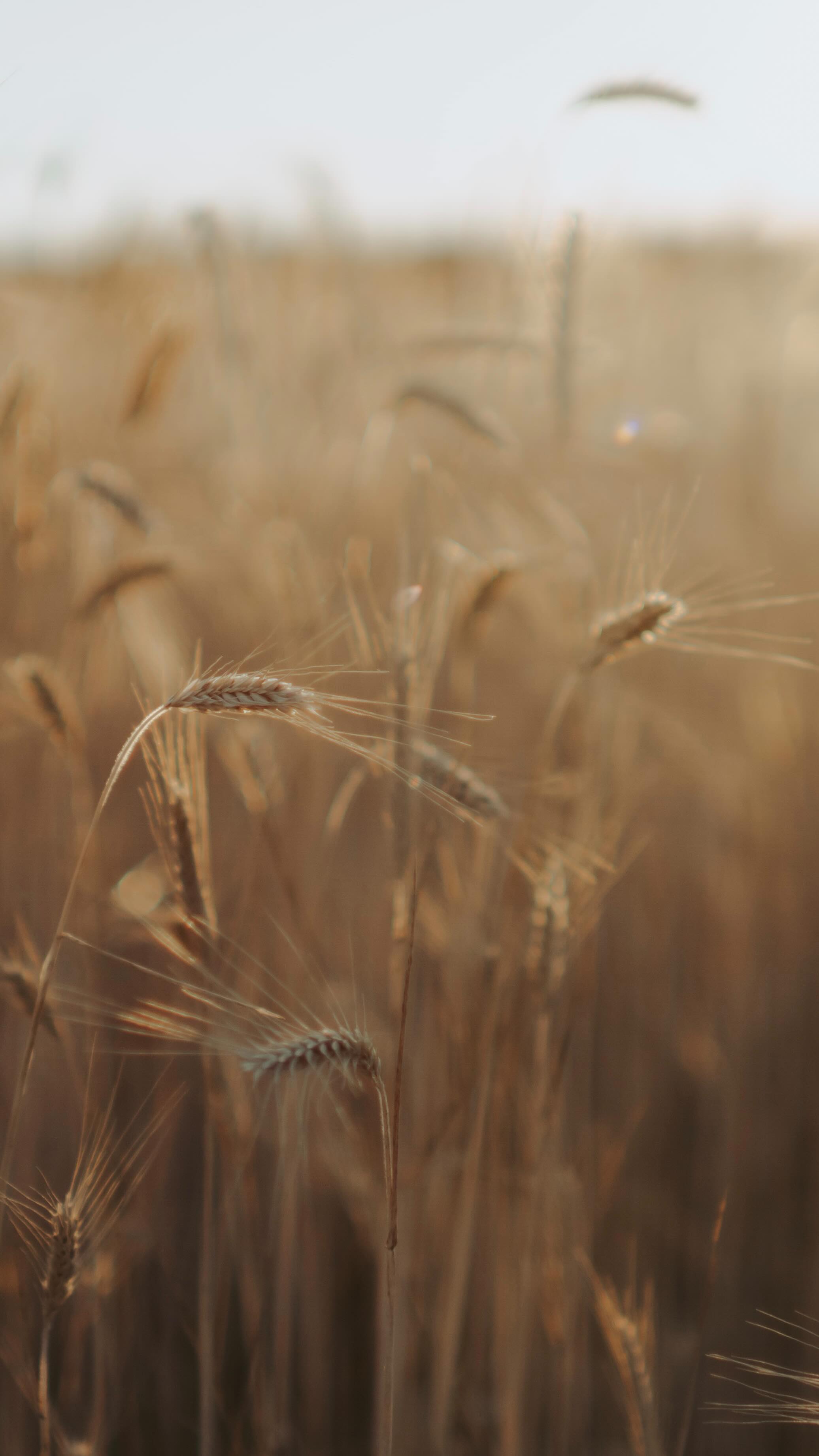 Expectations ≠ Reality, but reality was still pretty dang cool
Model: @milne_beth
Photographer: @piszportraits
• oregon coast • oregon photographer • beach photos • adventure photographer • senior photos • oregon senior photographer • foggy photos • flash photography • expectations versus reality • cannon beach • pnw photographer • bad weather • good weather
