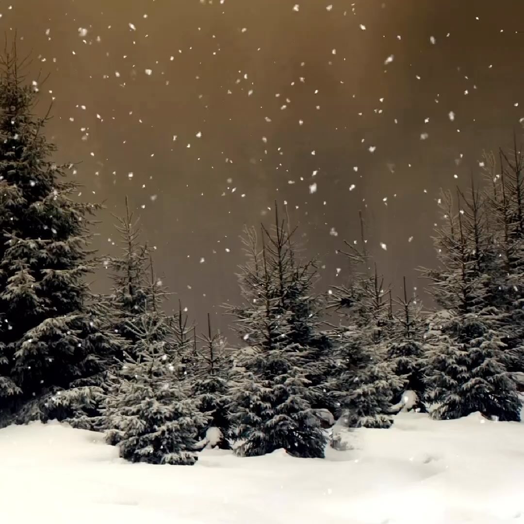 🎄 Merry Christmas from GTA Preconstruction Homes! 🏡✨ Wishing you joy, warmth, and the comfort of home this Christmas season. May your celebrations be filled with laughter and memorable moments. Cheers to a festive and joyous Christmas! 🎅🎁 #GTAHomes #gtapreconstructionhomes #torontorealestate #ChristmasCheer #HomeForTheHolidays #FestiveLiving #MerryAndBright #SeasonsGreetings #HomeSweetHome #ChristmasMagic #WarmWishes #HolidayHappiness #JoyfulMoments #CozyChristmas #FamilyTime #CelebrateTogether #HappyNewYear 🌟