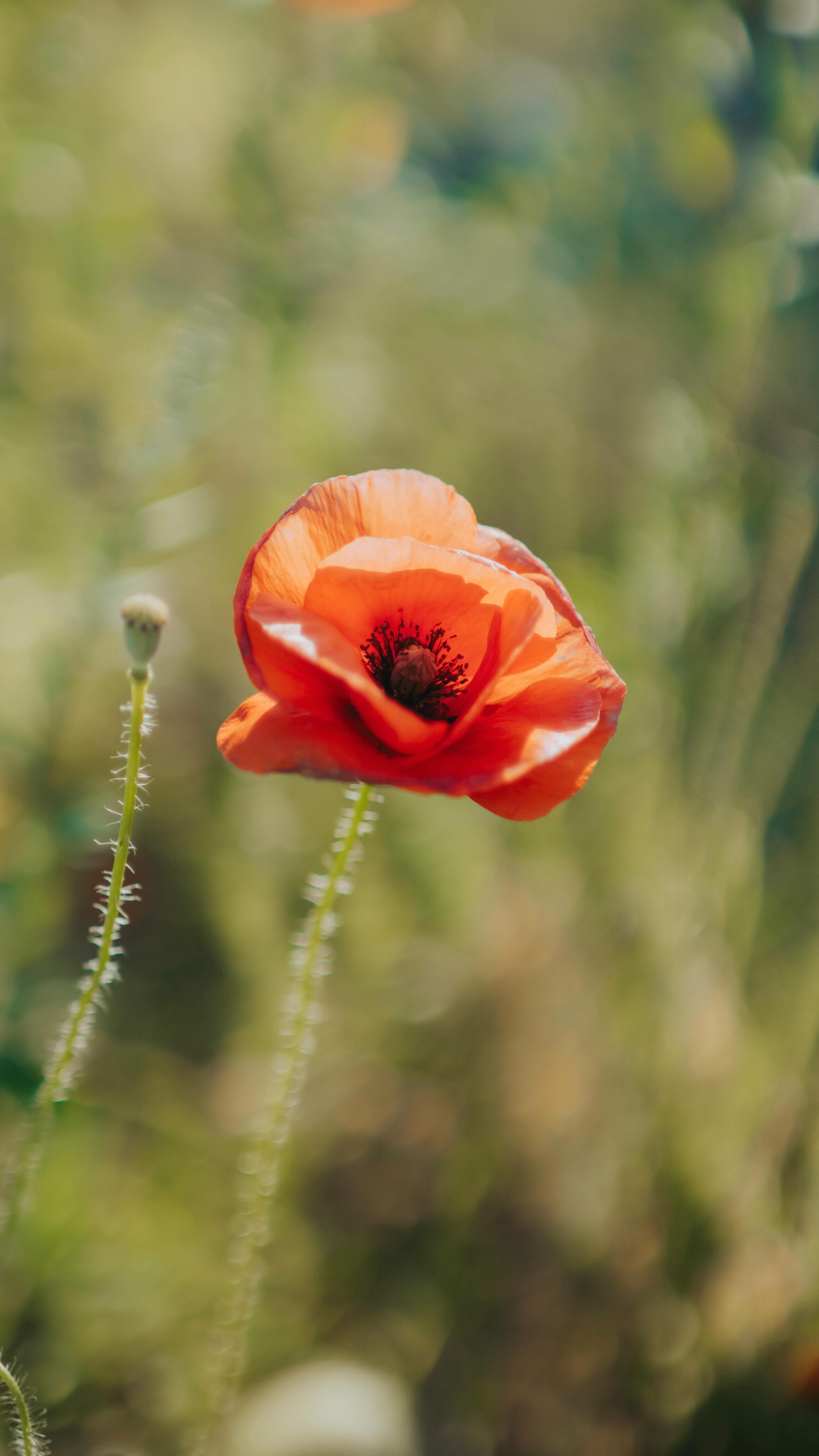Standing on a stool to get the perfect shot? I think yes.
Model: @jiaqi_c
HMUA: @bjoyartistry_