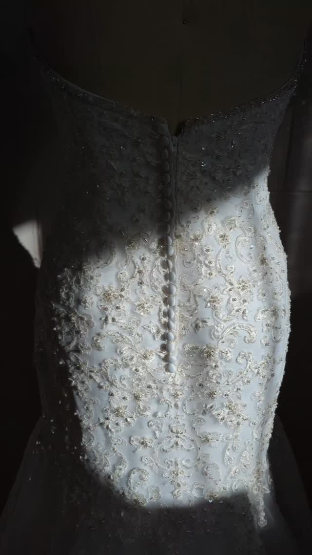 I can't help but grab my camera once the light starts to stream through the window... I love how the beadwork reflects the light onto the wall ✨
I'm always here for the sparkle!!
💕 Double-tap if you love that glow-up moment!
#BridalBeadwork #AfternoonLight #WeddingGownGoals #BridalDetails #SparkleAndShine #JenniferBowdenDesigns #MelbourneBrides #LuxuryBridal #BridalInspiration #HandmadeWithLove #GownGoals #BridalFashion #EcoChicBride #LoveMeTwiceVintage #BridalStudioMagic