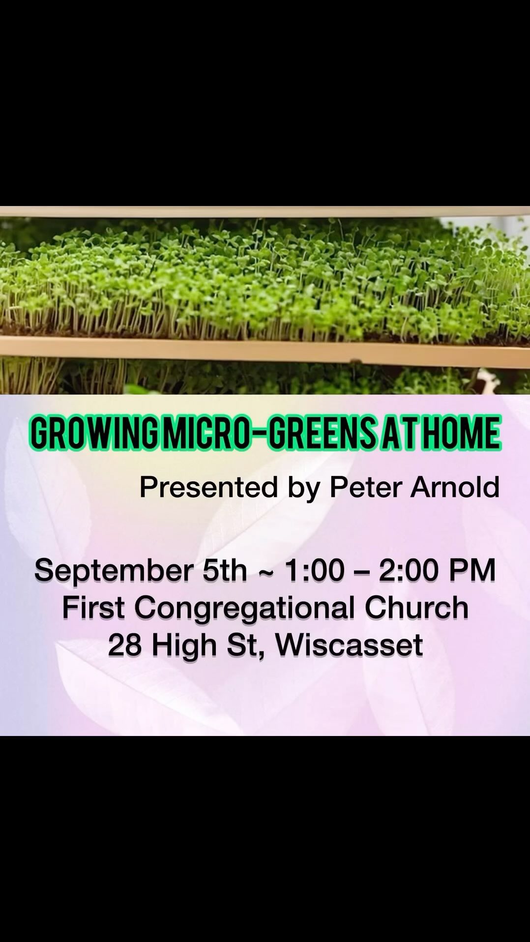 Join us on Thursday, September 5th, 1-2pm, for this open-to-the-public educational event presented by Wiscasset Garden Club members Peter Arnold.
Enjoy fresh greens all year by growing your own indoor micro-greens garden. Peter will provide information about containers, growing medium, seed-starting, lighting and maintenance of your micro-green garden.
#gardenclub #gardenclubofwiscasset #gardeningtips #gardeninginmaine #communityeducation #Maine #gardenclubfederationofmaine #microgreens #thingstodoinmaine #wiscasset #wiscassetmaine #midcoastmaine
