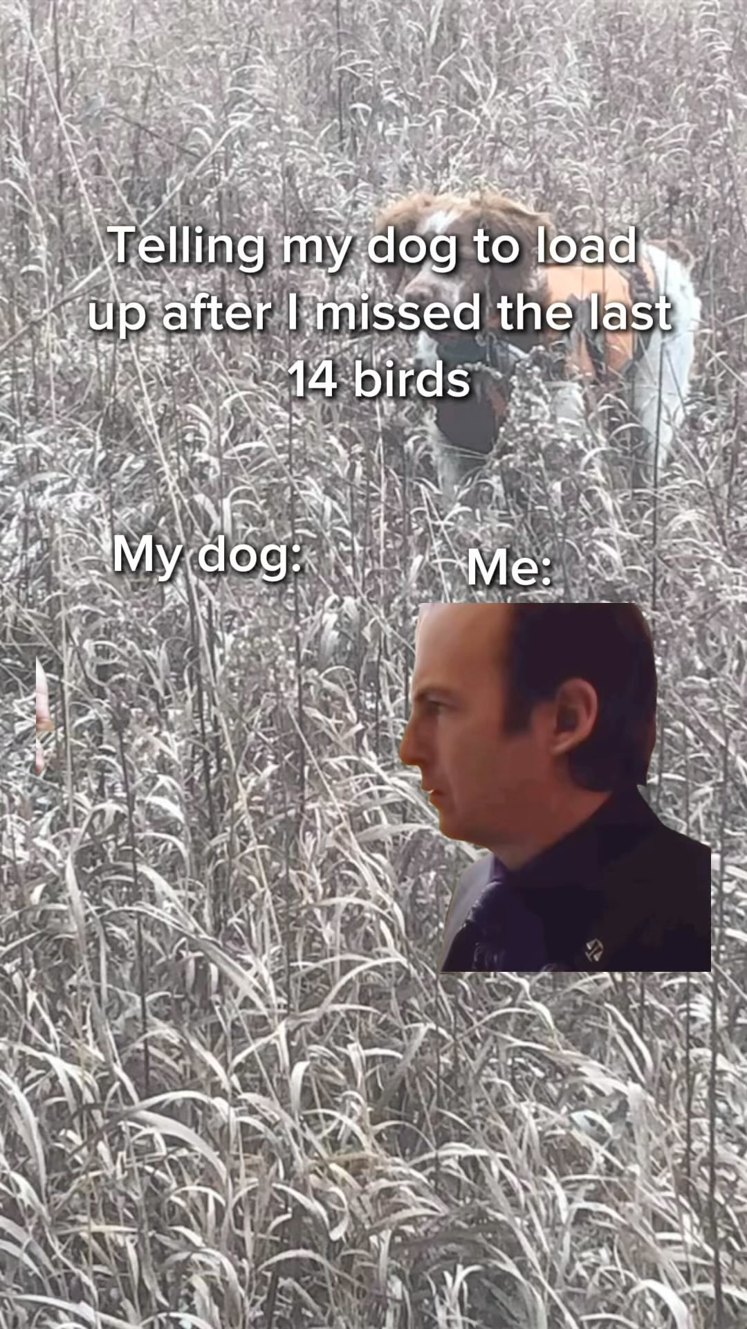 I make missing look easy
#birddog #gundog #funny #huntinmemes #hunt #gsp #dogsofinstagram