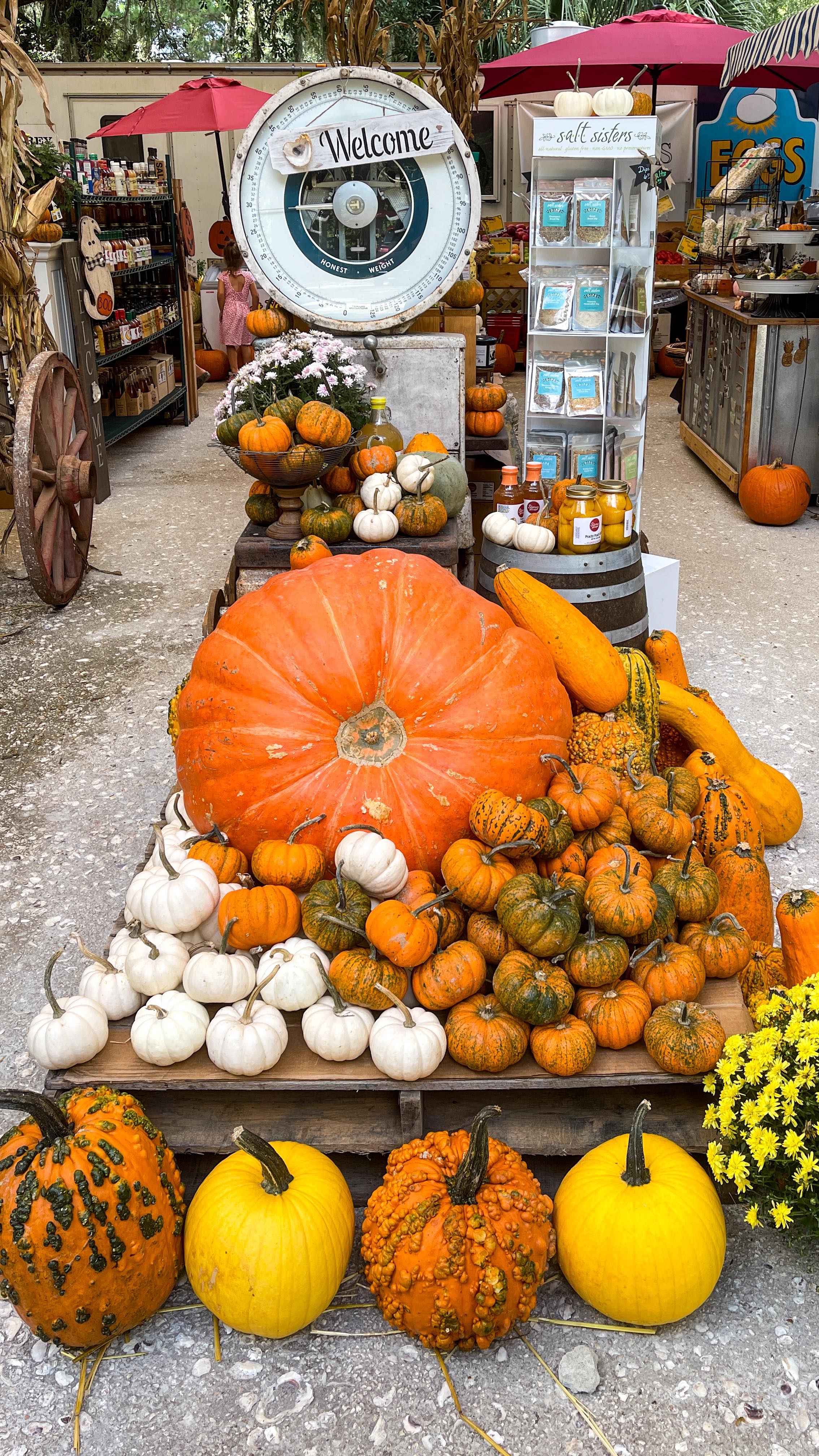 š” š October Monthly Home Maintenance Checklist
1ļøā£ Check Your Foundation and Crawlspace:
Walk around your home (and under go it, if you have a crawlspace) to inspect for any cracks in the foundation. These small issues can turn into bigger problems when the winter rain and humidity set in. If you spot any cracks or moisture issues, take care of it right away.
2ļøā£ Close Your Pool:
Even though you might enjoy a few more warm days, pool season is winding down. When youāre ready, clean, close, and cover your pool for the off-season, or call your pool maintenance company to handle it for you.
3ļøā£ Turn Off Your Sprinklers:
While it doesnāt freeze often here, itās still smart to shut down your sprinkler system for the cooler months to avoid any potential damage.
4ļøā£ Inspect Your Sump Pump:
With rainy weather on the way, make sure your sump pump is working properly to manage any rising groundwater.
Stay ahead of maintenance and keep your home in top shape this season.
#HomeMaintenance #CoastalLiving #SouthernLiving #WinterPrep #RealEstateTips