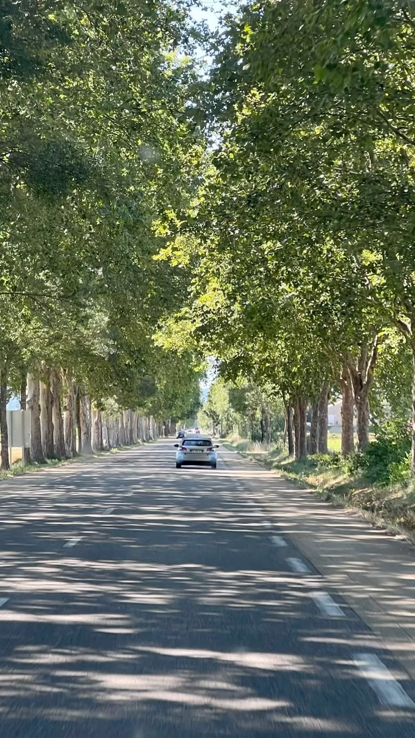 Wir haben uns erholt - und sind ab Montag wieder für unsere Gäste da. Entspannte Tage liegen hinter uns, heiße Sommertage mit viel Zeit für Kultur, Natur, Kulinarische Erlebnisse und Inspirationen aller Art. #frankreich #france #provence #vacance #urlaub #fleckschesgut #auszeit #timeout