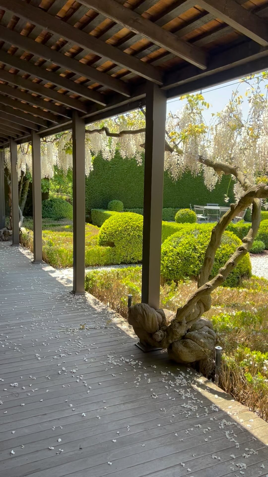 A perfect Spring afternoon on the verandah!
Thanks to our gardeners @ruralgardensaustralia for maintaining the parterre garden so beautifully.
Booking enquiries can be made via @airbnb or our website, www.kynetonoldrectory.com.au
Outdoor furniture by @fermob available from @classicwithatwist and in the Macedon Ranges from @riddellscreeknursery
Terracotta pots from @kellockpotsnplanters
@visitmacedonranges
@daylesfordmacedonranges
@nationaltrustvic
@piperstkyneton
#kyneton
#kynetonlux
#oldrectory
#oldrectorygarden
#unforgettable
#spring
#wisteria
#verandah
#paterre
#buxus