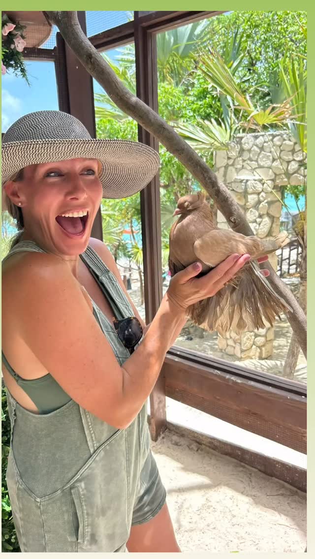 Happy Saturday!😄❤️
#007beachclub #booknow #roseisland #swimmingpigs #roseisland #aviary