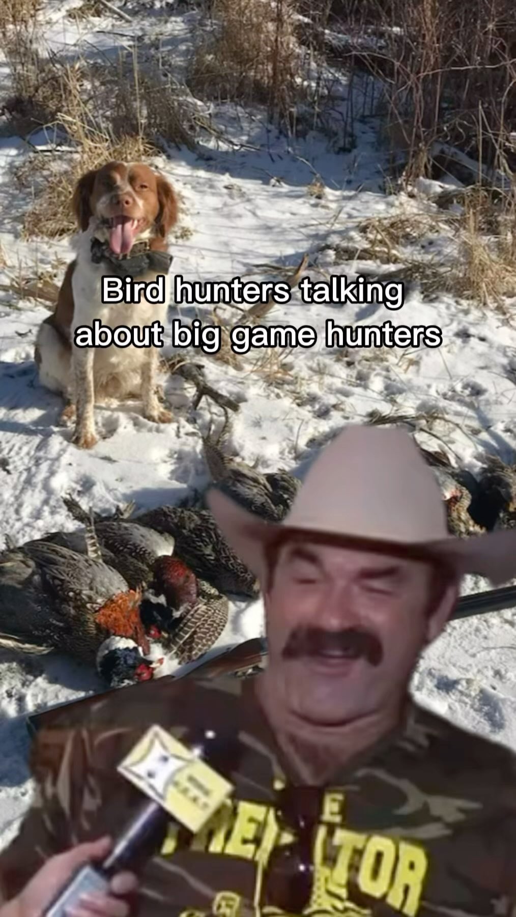 🤷🏼♂️🤷🏼♂️🤷🏼♂️
#upland #waterfowl #gundog #jokes #biggame #hunter #dogsofinstagram #dogs #deer