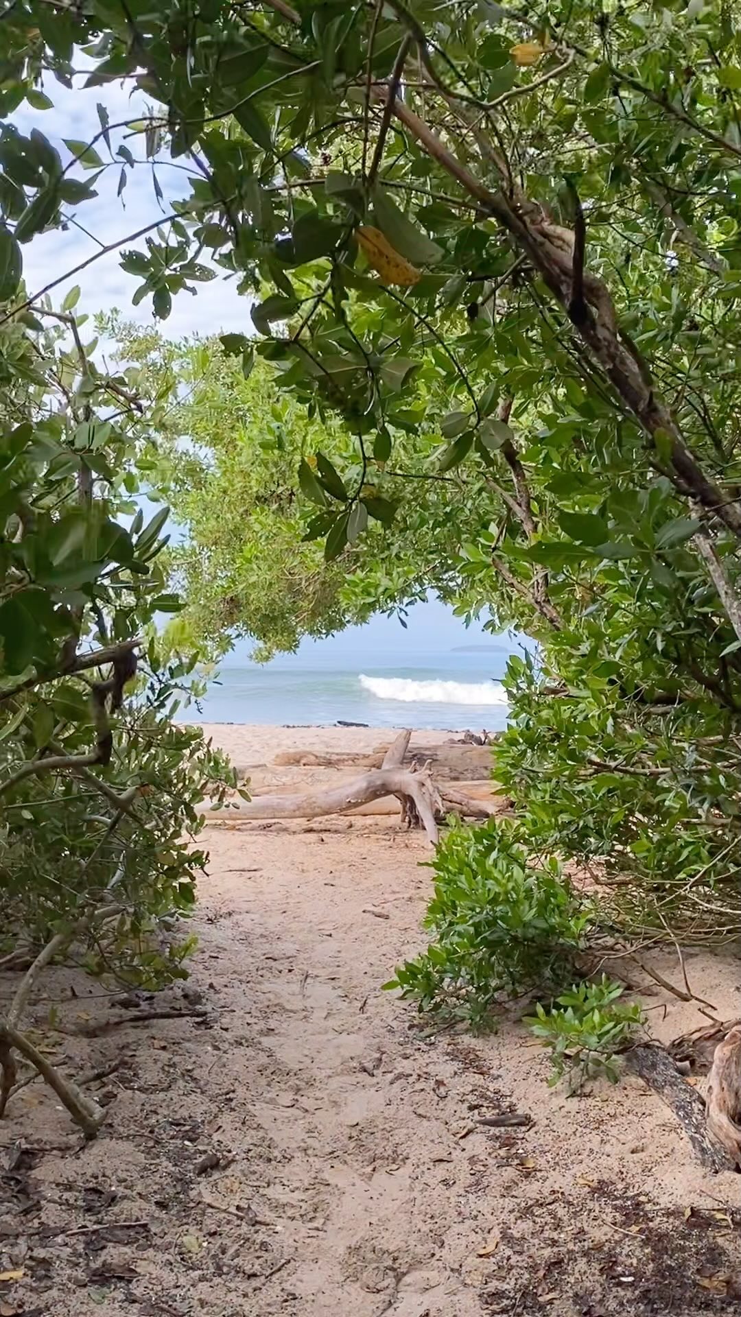 Best morning view☀️🌊
•
•
•
•
•
#surflessons #surfvallarta #gosurf #visitpuertovallarta #rivieranayarit #banderasbay #instabeach #waves #instamexico #instatravel #nuevonayarit #nuevovallarta #family #jalisco #vacation #sea #views #surf #surfing #fun #puertovallartasurf #mainlandmexico