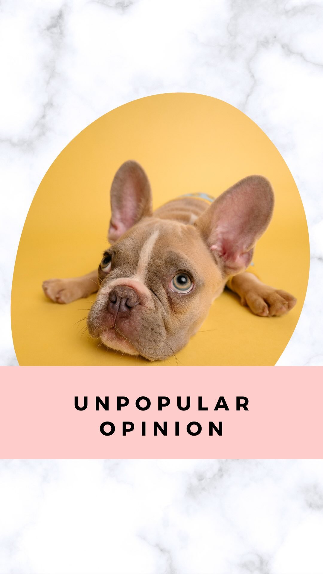 Let’s talk about it! ⬇️
I LOVE when professionals use every tool in their toolbox to help dogs 🧰
I HATE when trainers only focus on commands (aka cues) and treat the dog like a robot 🤖
When building a behaviour modification plan aka a system to support your dog through their challenges, this is what should be the focusing on instead:
- learn to understand them
- create a supporting environment
- become a safe space
- meet their needs
- change their perception and emotions for the better
It maybe doesn’t sound as sexy as “just plug in these words and watch your dog comply”, but I can assure you:
It’s so much more long lasting, ethical, and ultimately FUN to work with exactly who your dog is and what they need, instead of exclusively what you want from them. 😇
The more you know 🌈🦄
Make sure to follow @savingslippers for transparent and ethical training tips … and hot takes 😎
#dogtrainingtip #dogbehaviourtraining #dogtrainingrevolution #dogbodylanguage #dogparenting
