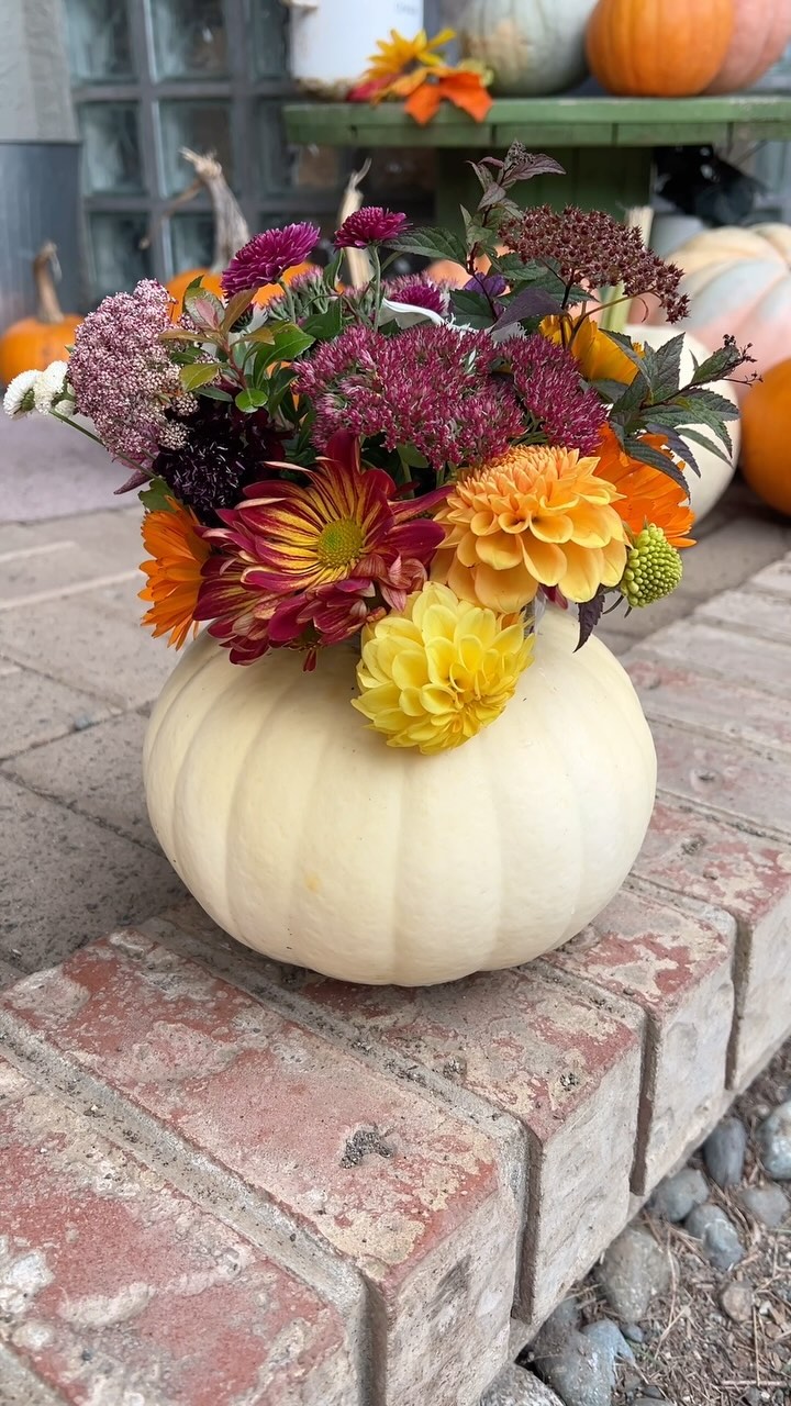 I’m actually more of a spring girl…but arranging flowers in pretty little pumpkins makes autumn kind of ok 🍂
